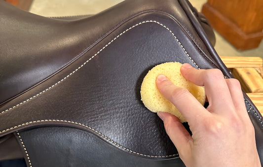 Saddle Care 101: Saddle Up for Success