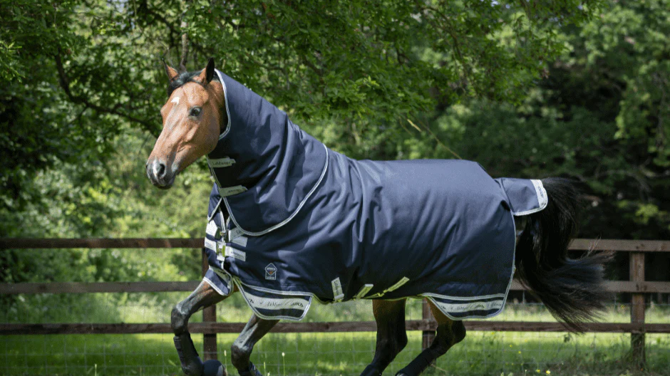 Horse Blanketing 101