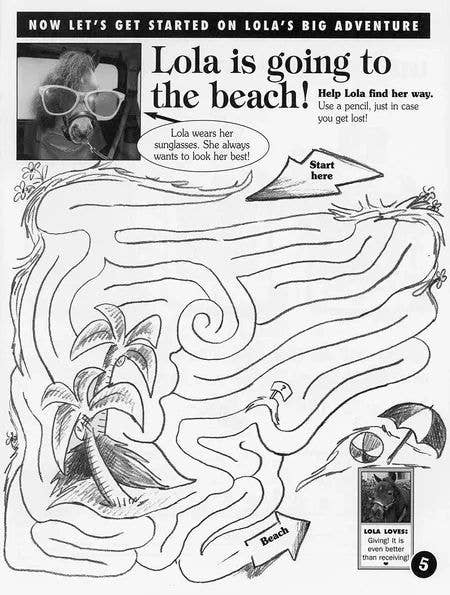 The Wonderful Life of Lola Activity Book