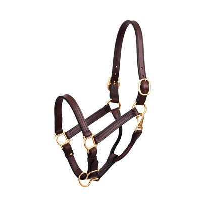 Perris 1" Premium Leather Show Halter - Havana