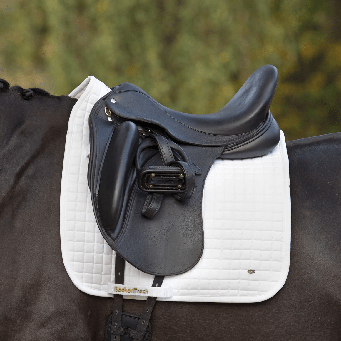 Back on Track Dressage Pad - White