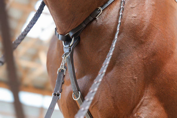 Zentora SofTTurn System Martingale by JP