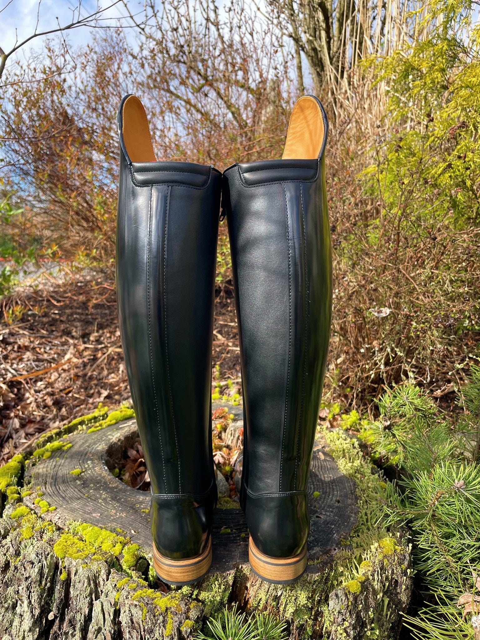 Custom DeNiro Bellini Dressage Boot - Brushed Black with Patent Uptop & Rose Gold