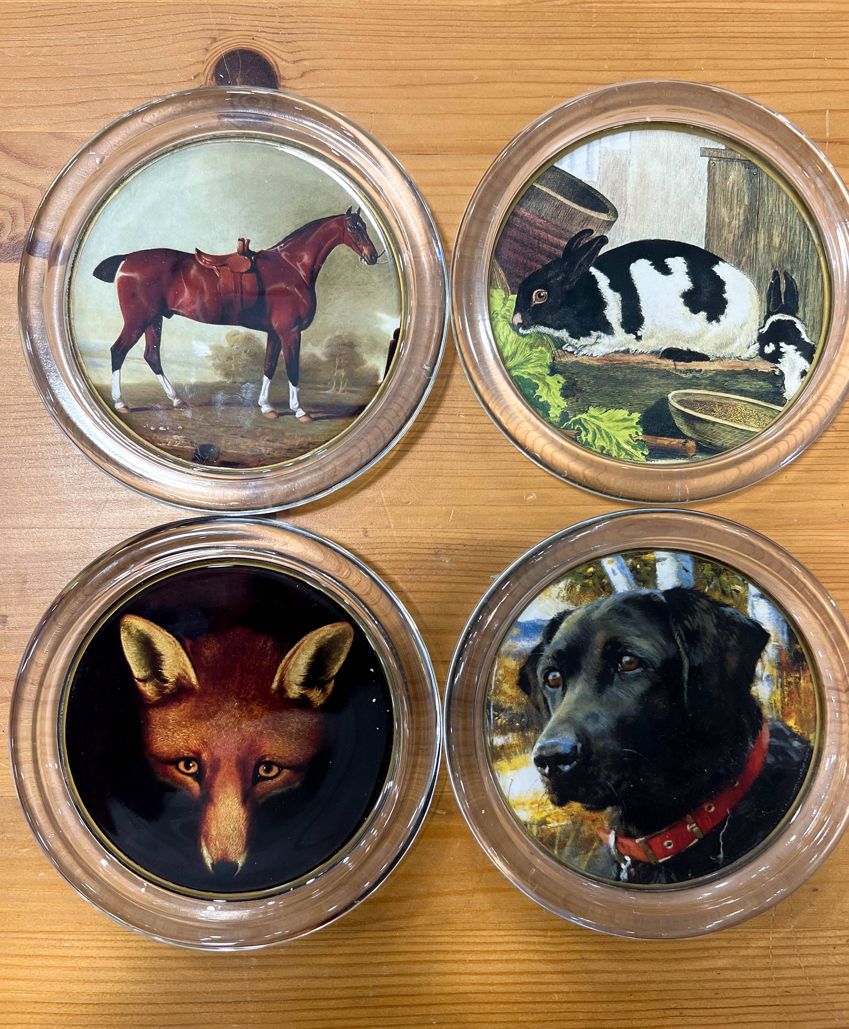 Fox Mask Coaster