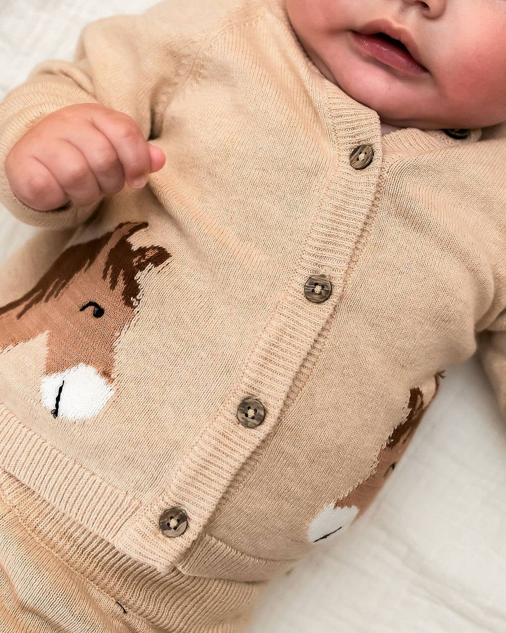 Horse Jacquard Knit Organic Baby Cardigan