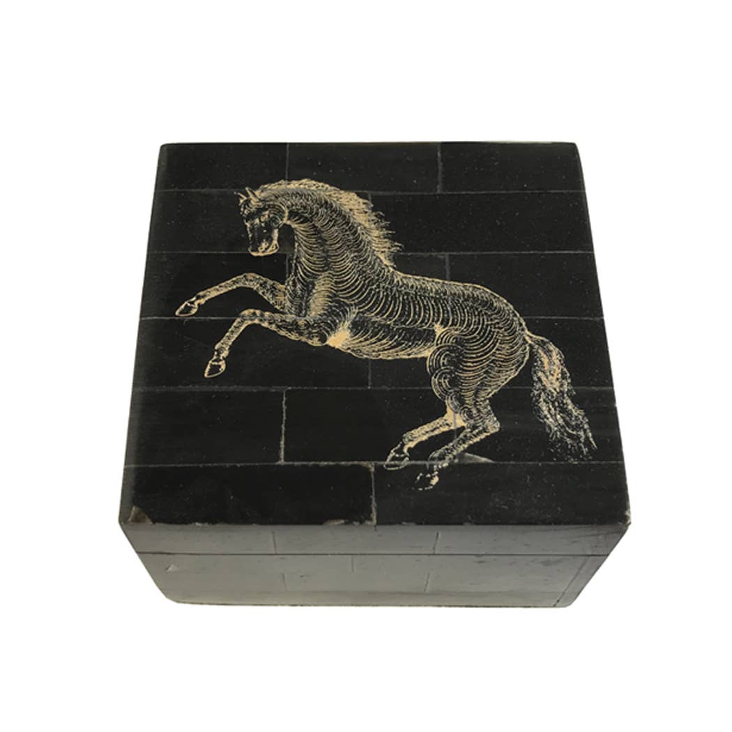 3 1/4" Black Horn Scrimshaw Horse Storage Box