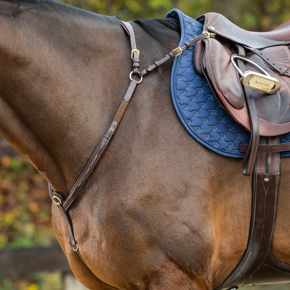 Dy'on Bridge Breastplate