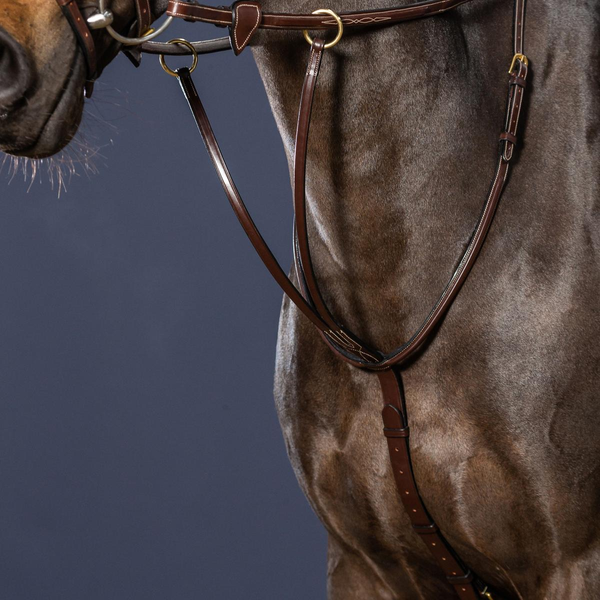 Dy'on Running Martingale