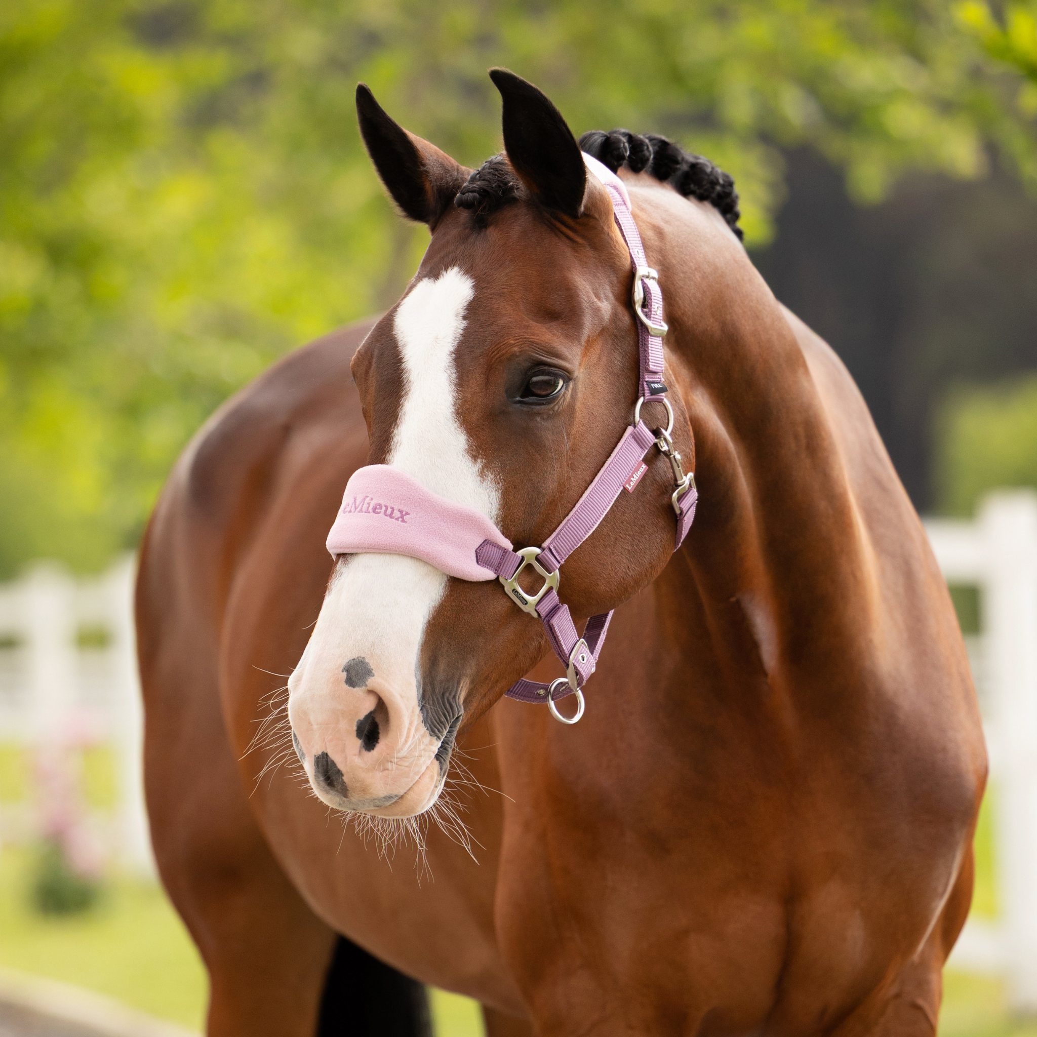 LeMieux Vogue Halter & Leadrope