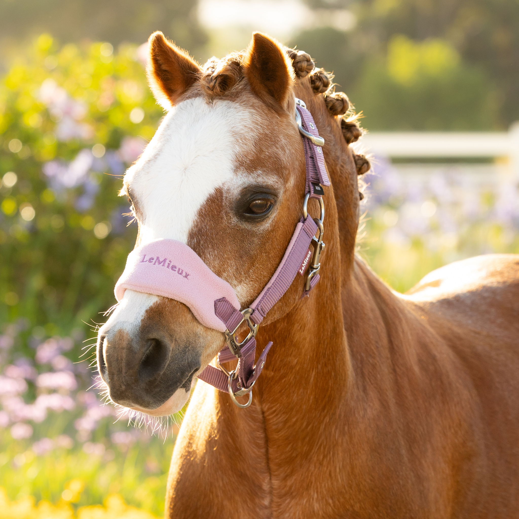 LeMieux Mini Vogue Halter & Leadrope