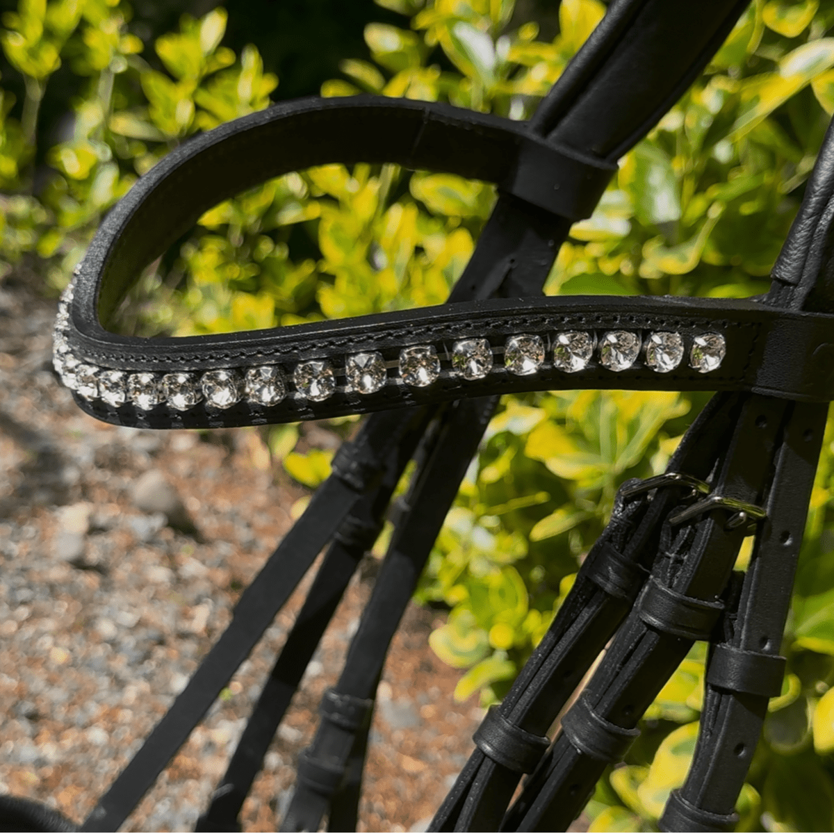 Otto Schumacher Tokyo Double with Black Patent & Black Padding