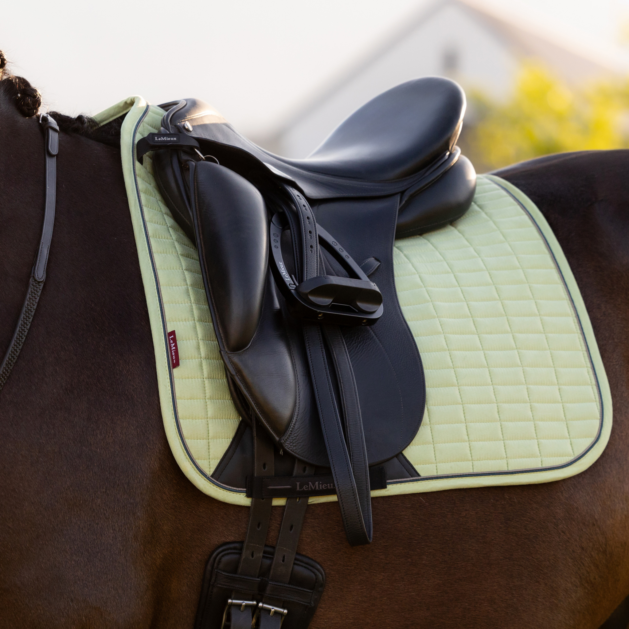 LeMieux Suede Dressage Square Pad
