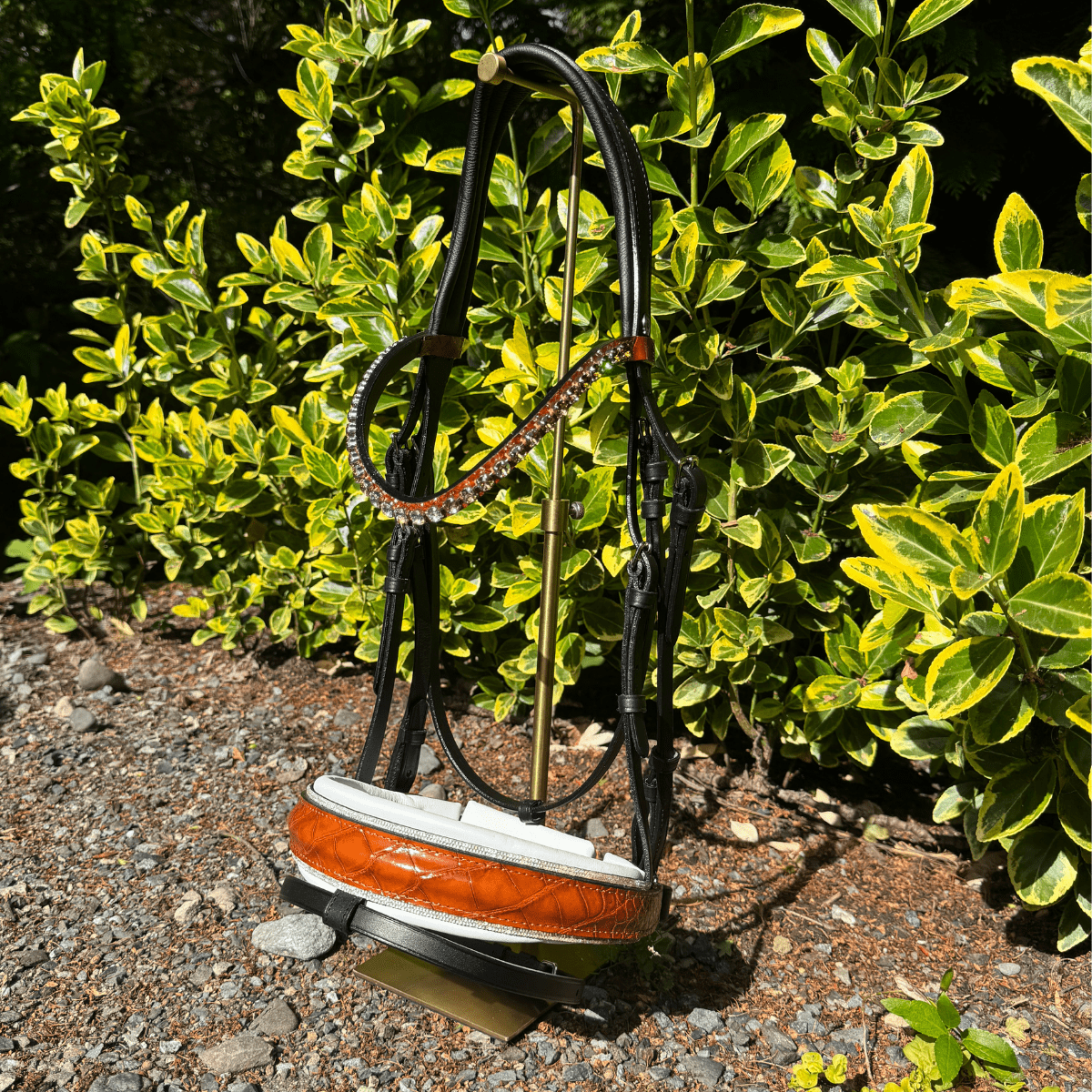 Otto Schumacher Elegant Snaffle Bridle with Patent Croco in Cognac with Topaz Fineline