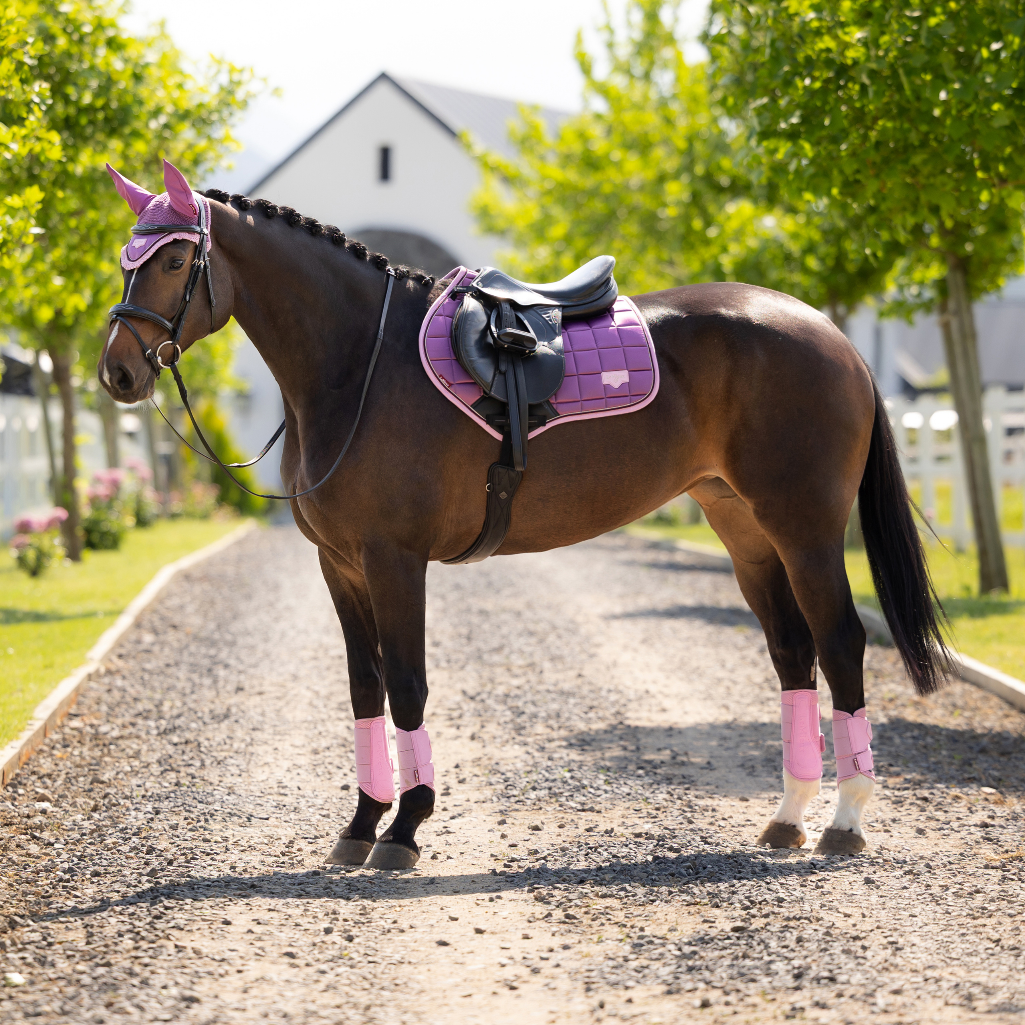 LeMieux Loire Classic Close Contact Square Pad