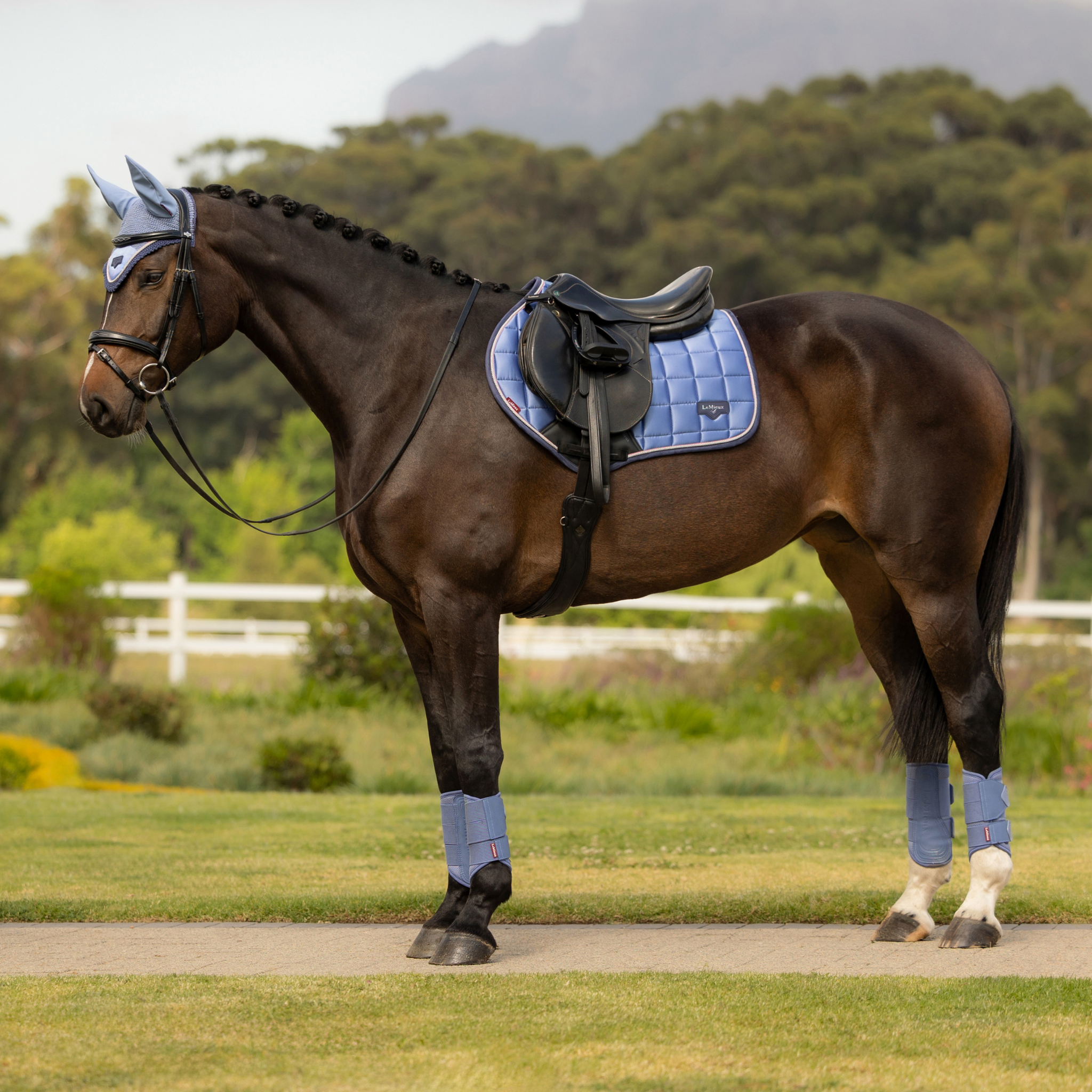 LeMieux Loire Classic Close Contact Square Pad