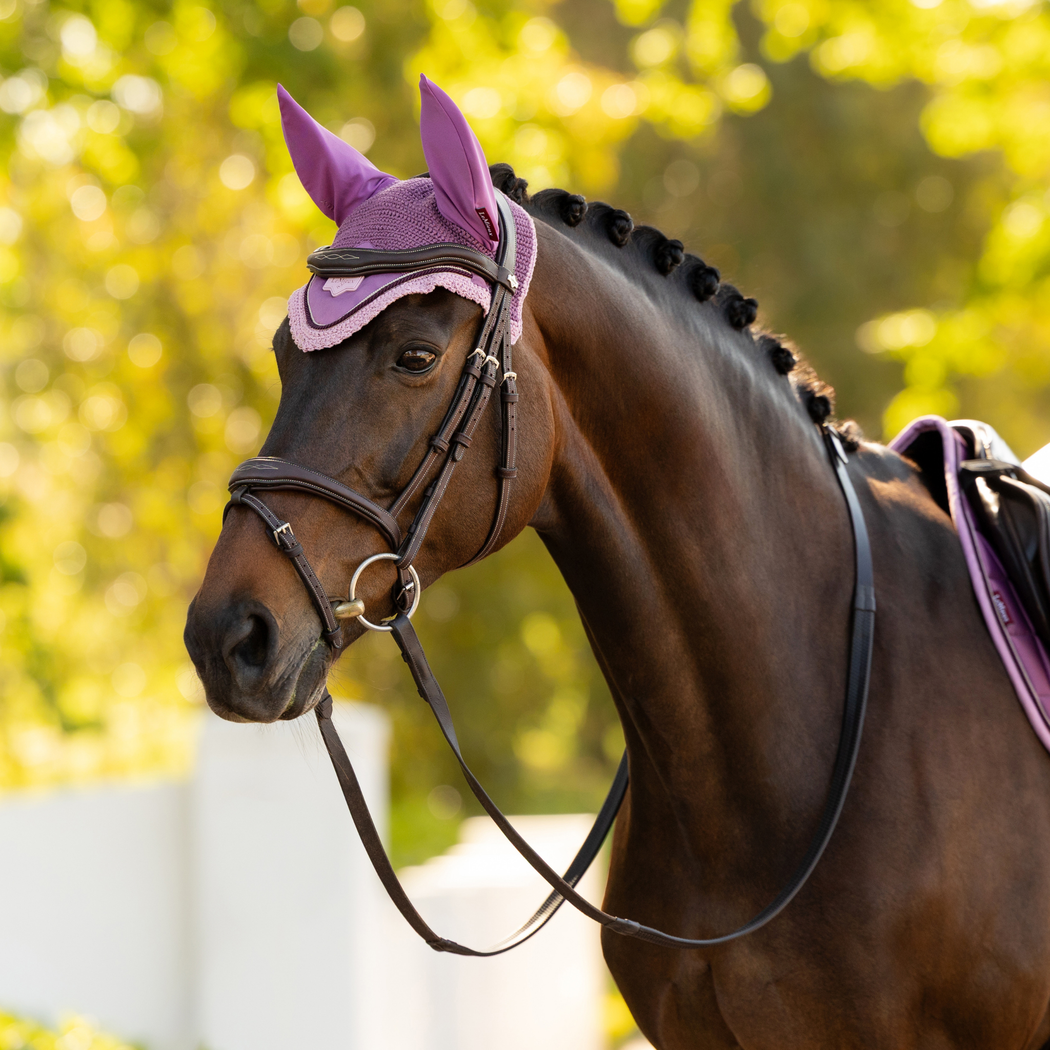 LeMieux Loire Ear Bonnet