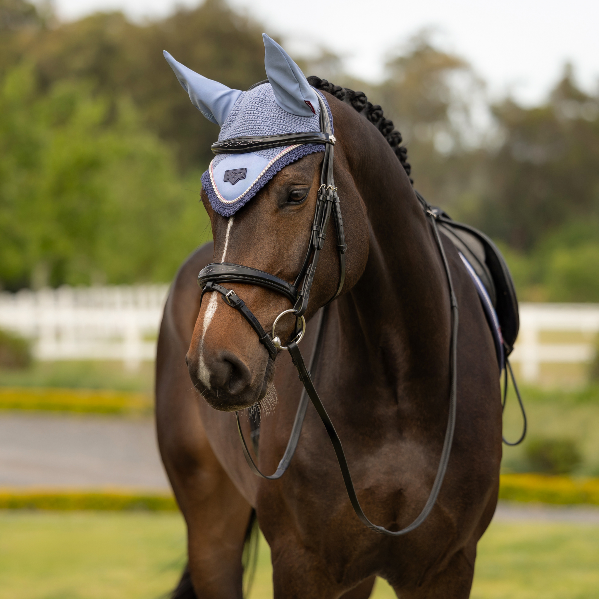 LeMieux Loire Ear Bonnet