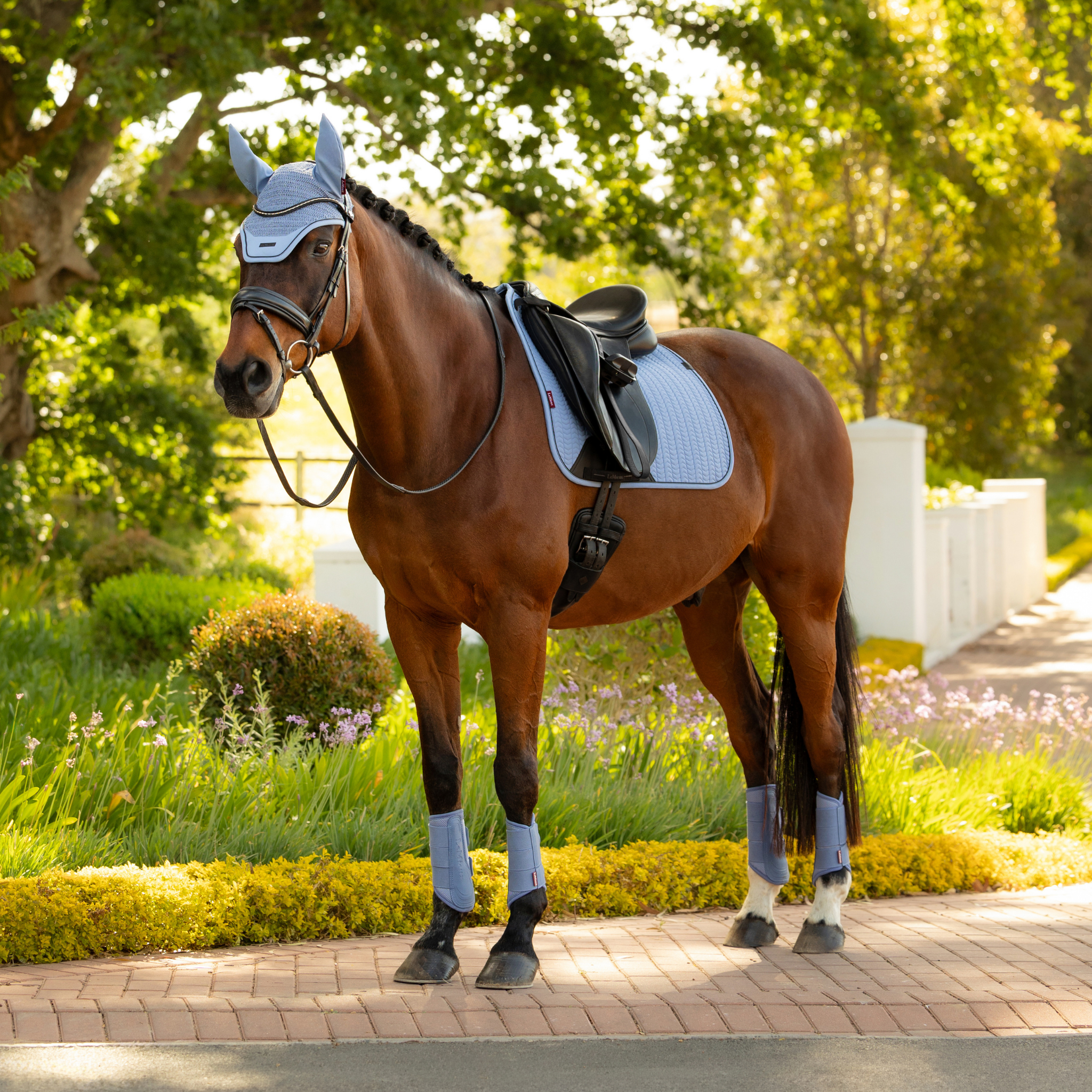 LeMieux Essence Dressage Square Pad