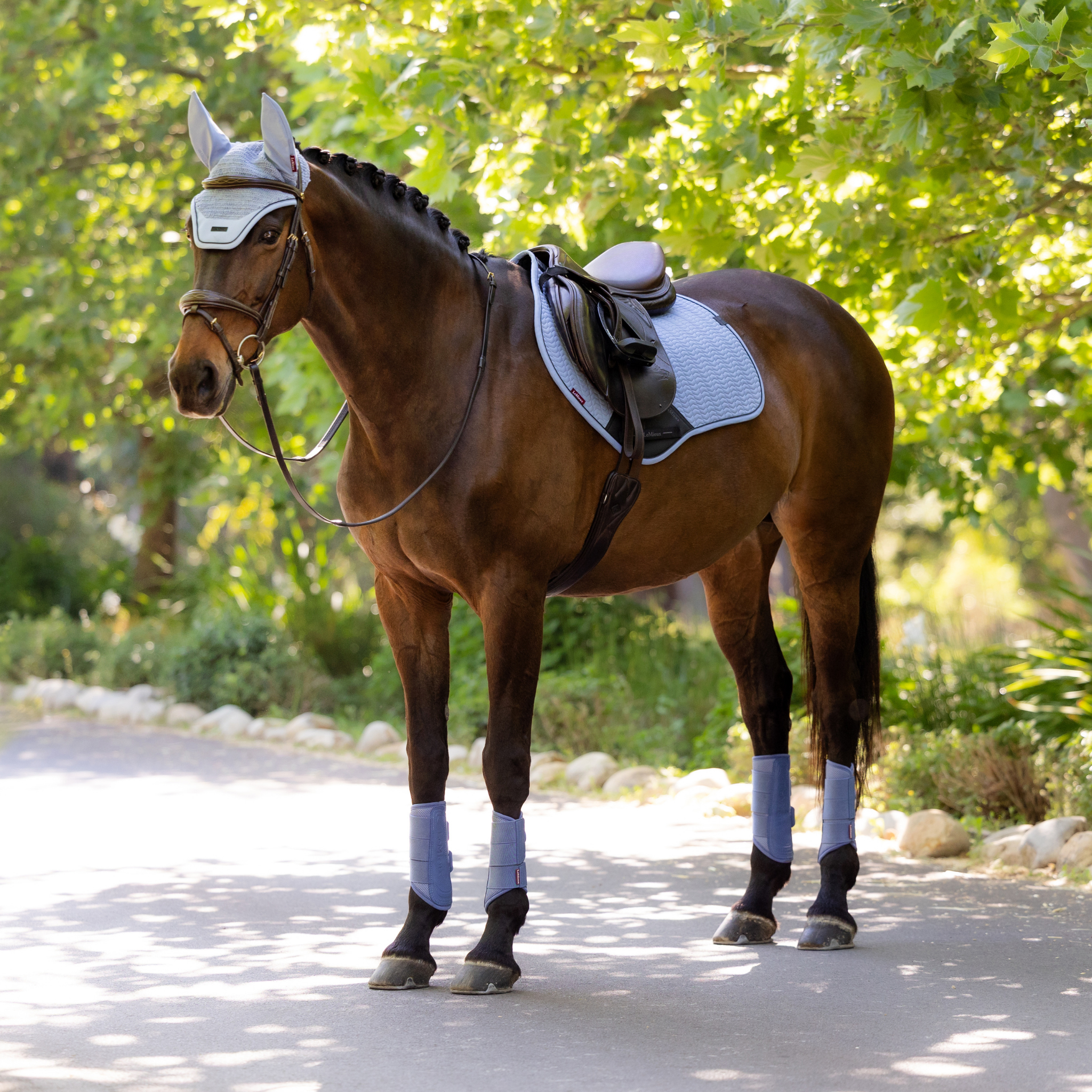 LeMieux Essence Close Contact Pad