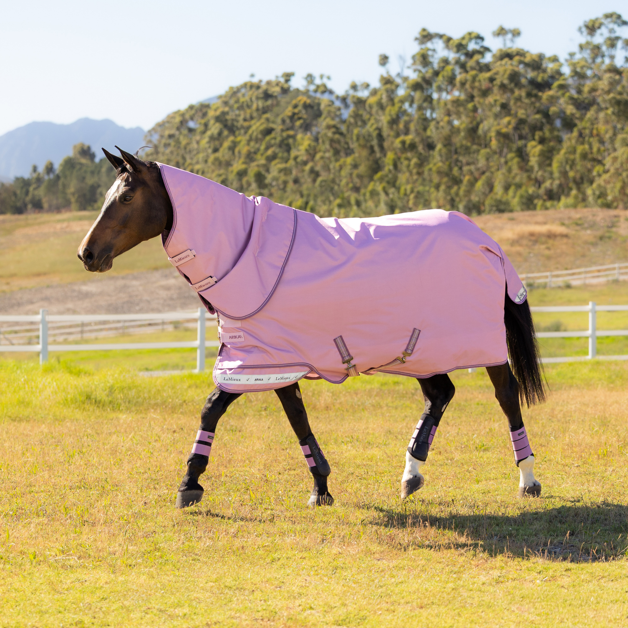 Lemieux Arika Ripstop Turnout Blanket
