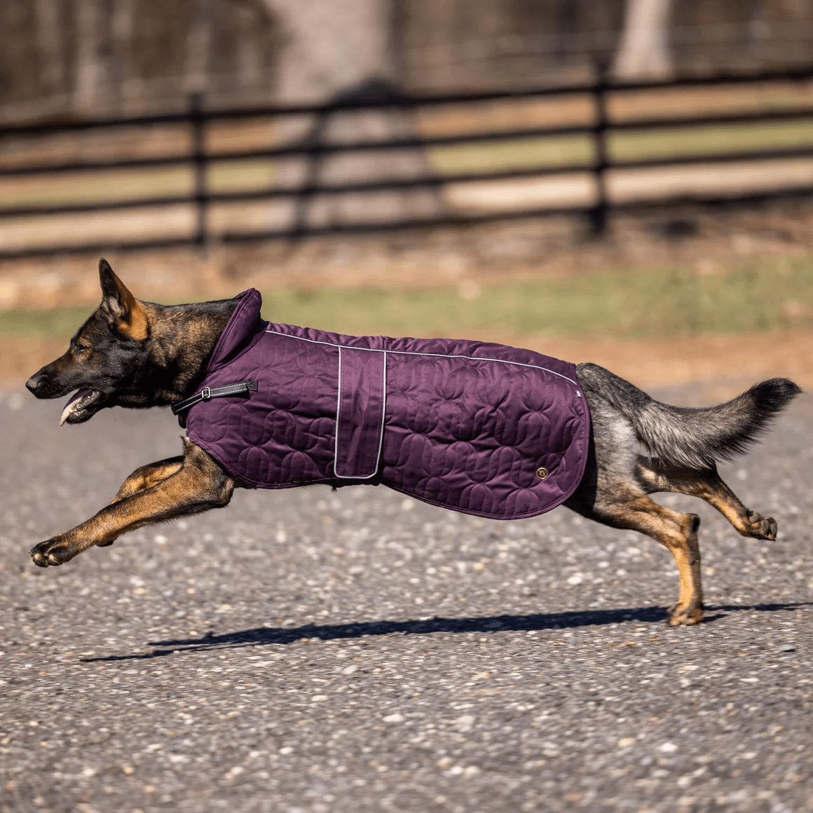 Back on Track Deep Nights Dog Coat