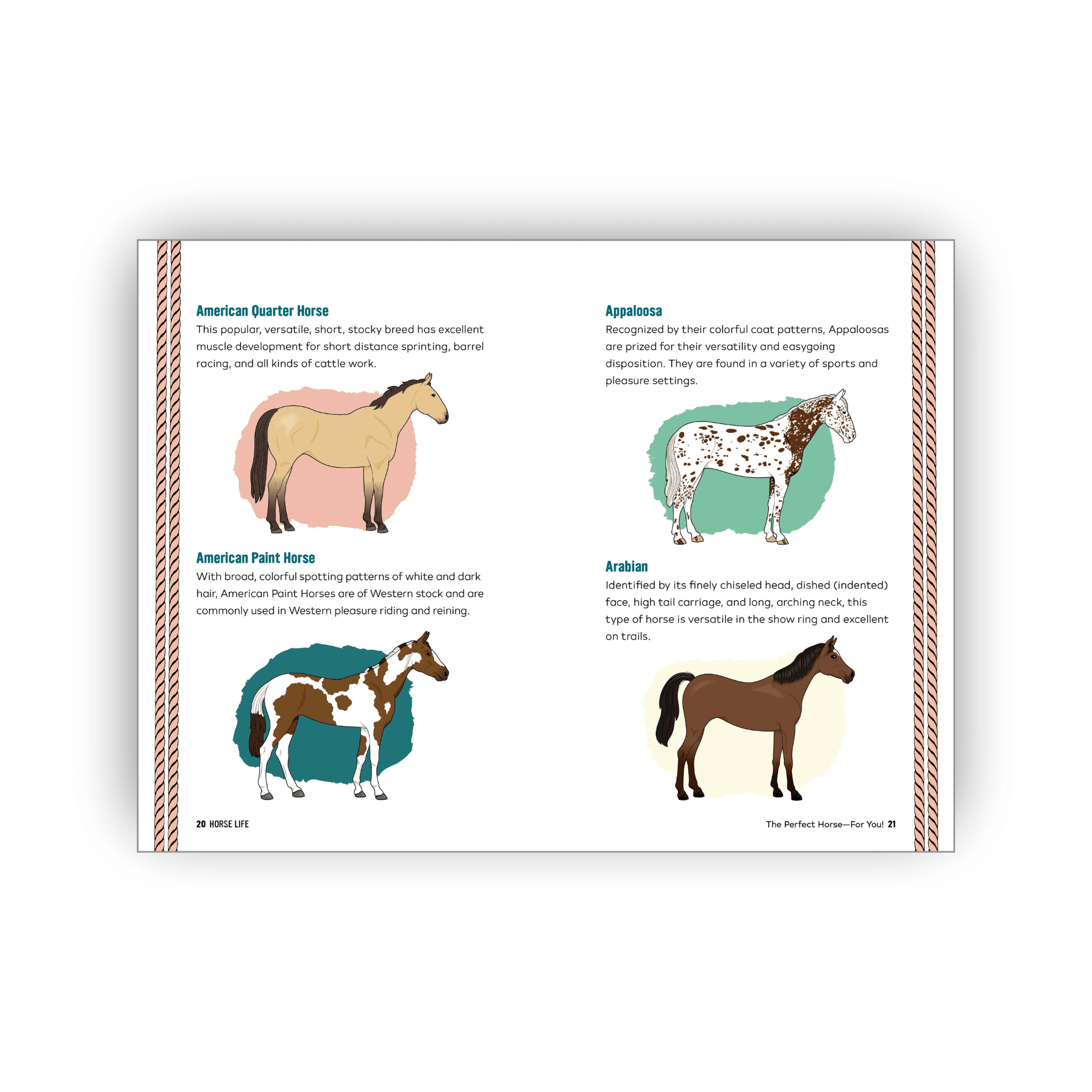 Educational card about horse breeds with illustrations and text on a white background