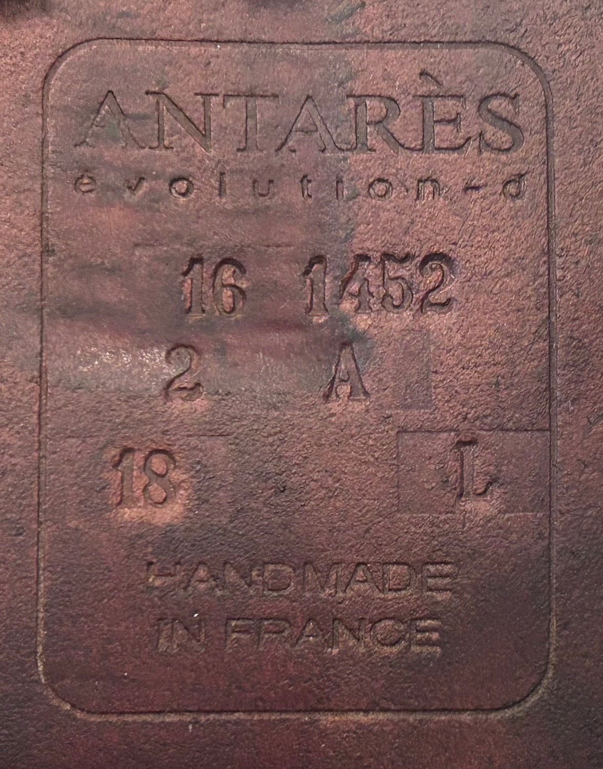 18" Antares Evolution, 2016, 2A Flap, Medium Wide (4.5") Tree