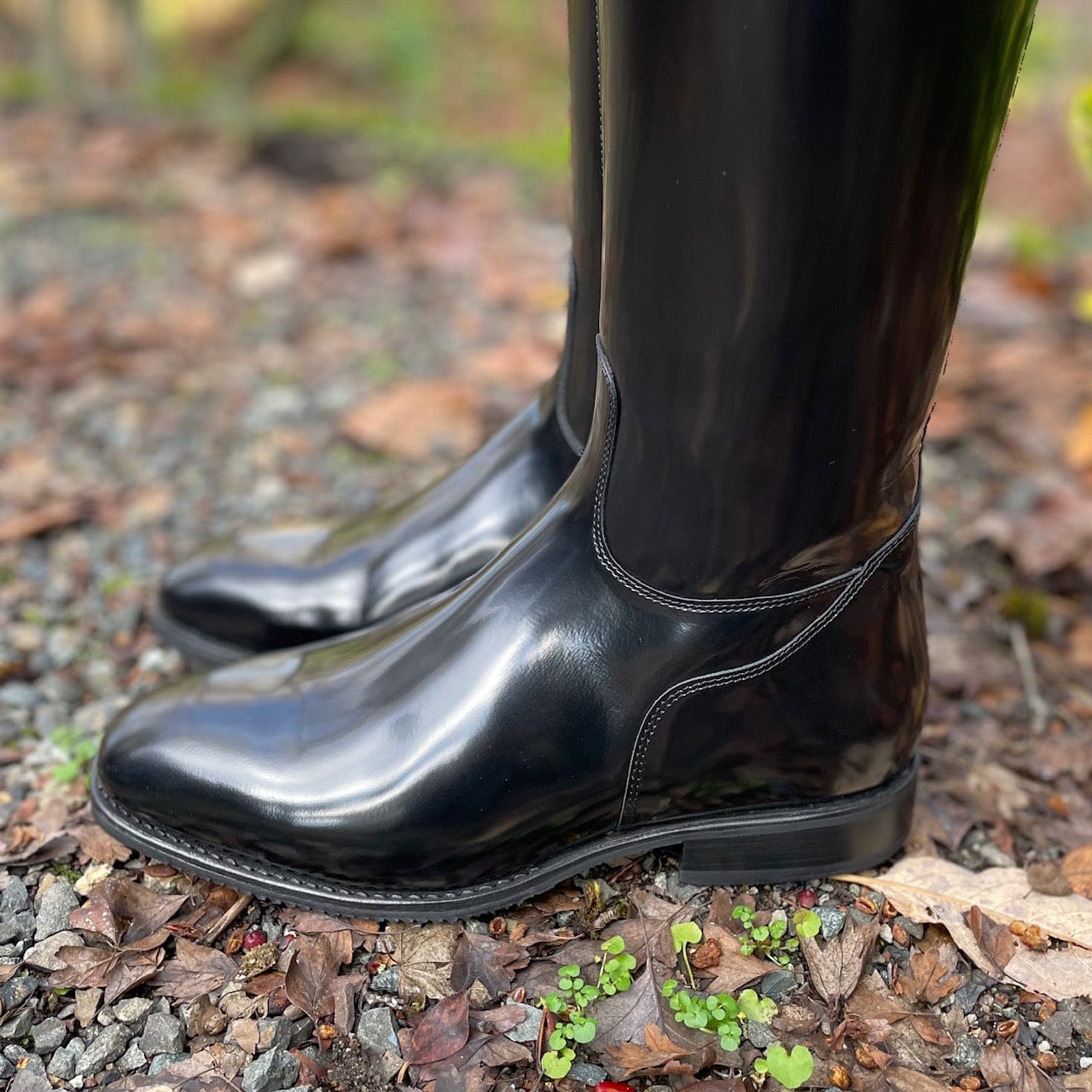 DeNiro Raffaello Dressage Boot - Brushed Black with Capri Blue Swarovski Crystals