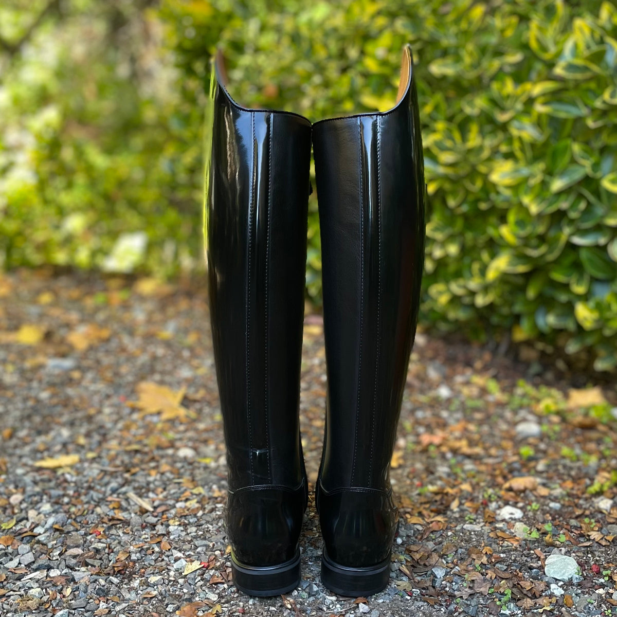 DeNiro Bellini Dressage Boot #123 - Brushed Black - 38 MC/M