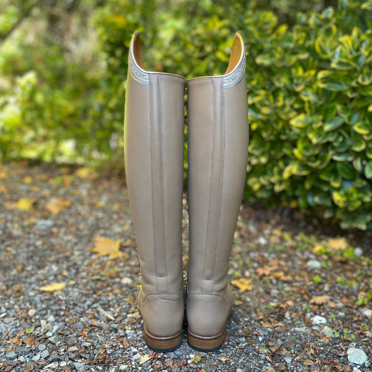 DeNiro Bellini Dressage Boot #44 - WRAT Tortora with Sinax Platino Rondine & GGS79 - 39 MA/S