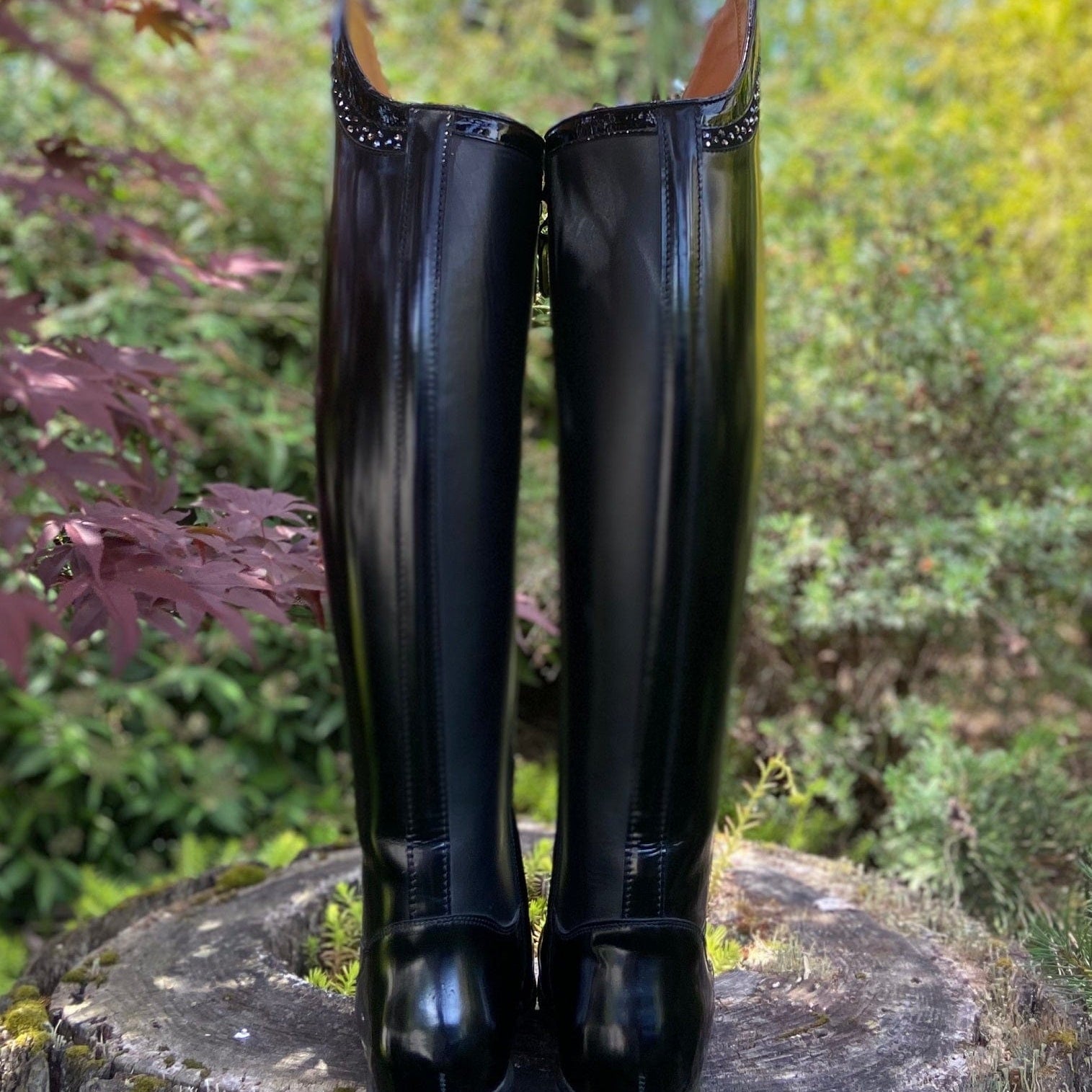 Custom DeNiro Bellini Dressage Boot - Brushed Black with Crystal Rondine Top