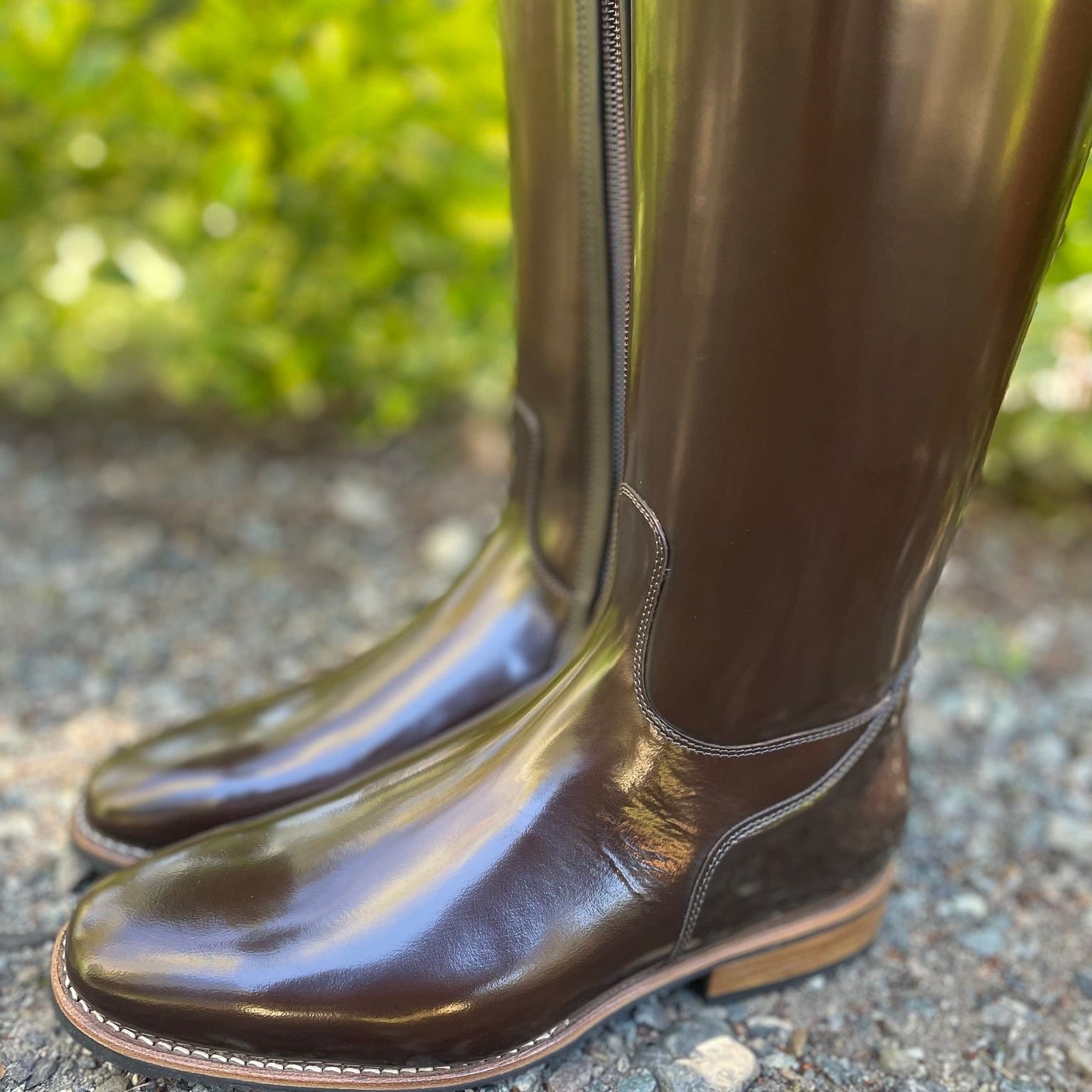 DeNiro Raffaello Dressage Boot - Brushed Fondente Brown with Rondine Dedalo & Swarovski