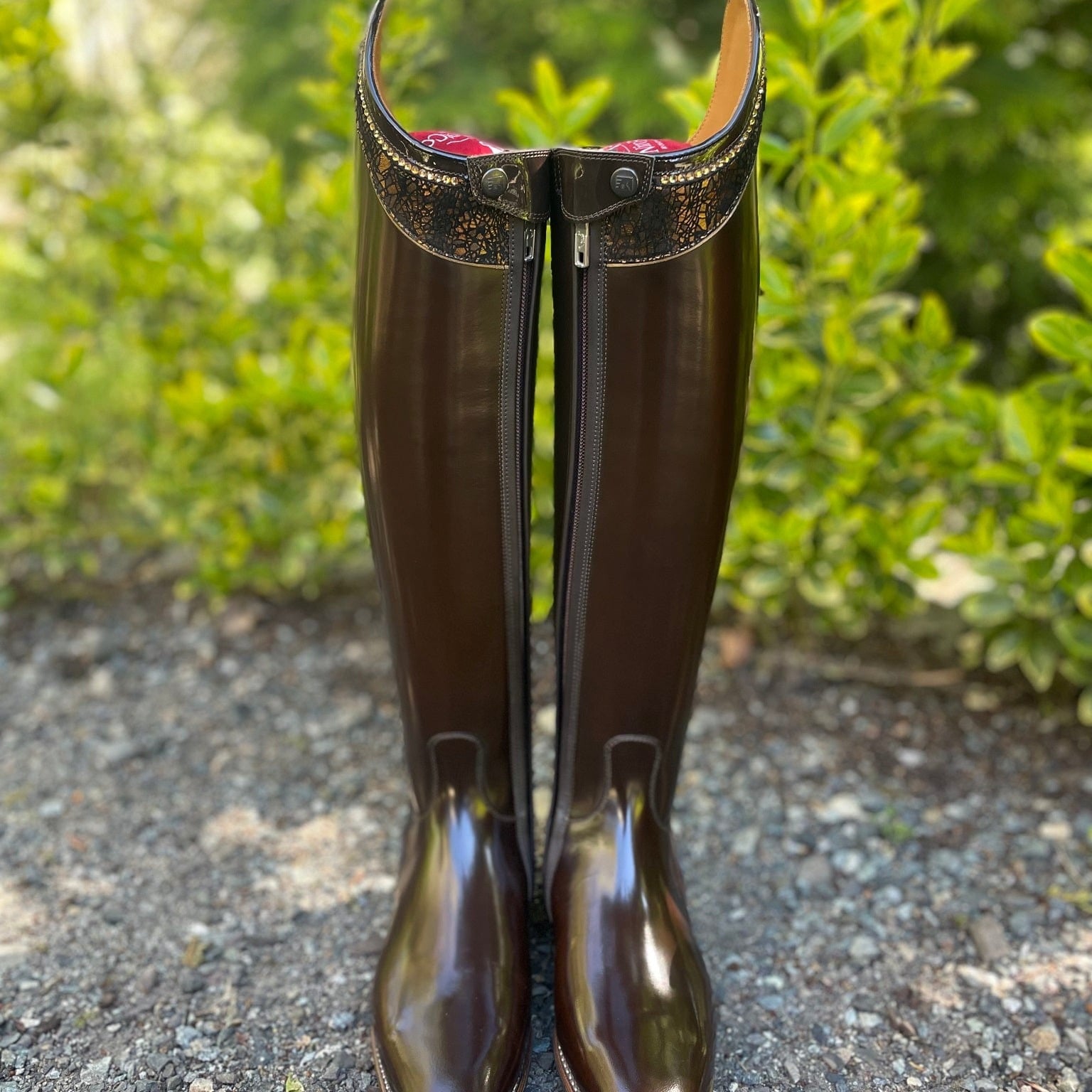 DeNiro Raffaello Dressage Boot - Brushed Fondente Brown with Rondine Dedalo & Swarovski