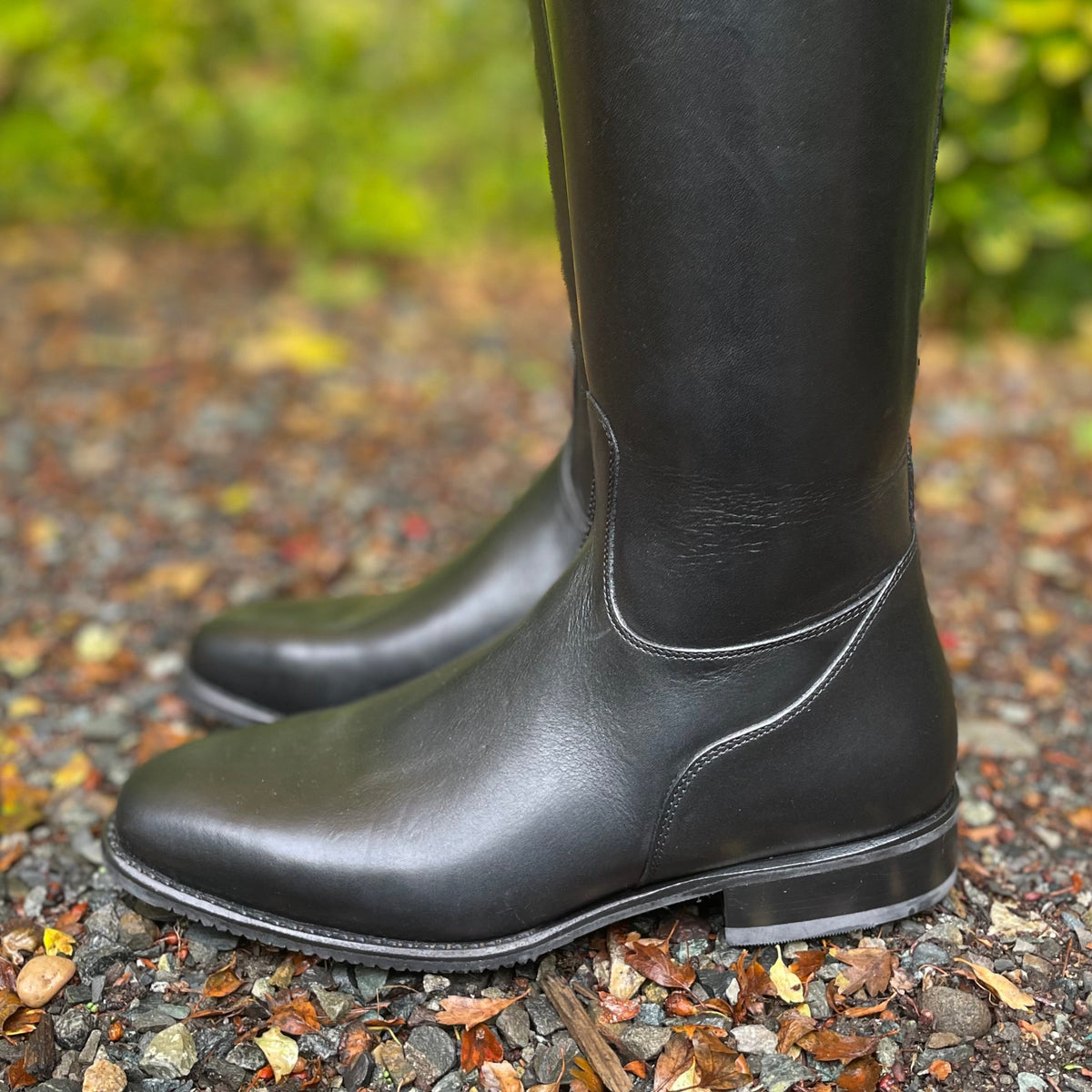 DeNiro Raffaello Dressage Boot WRAT Black with Brushed G9 Rondine - 37 MC/S, 38 MA/XS, 38 MA/S