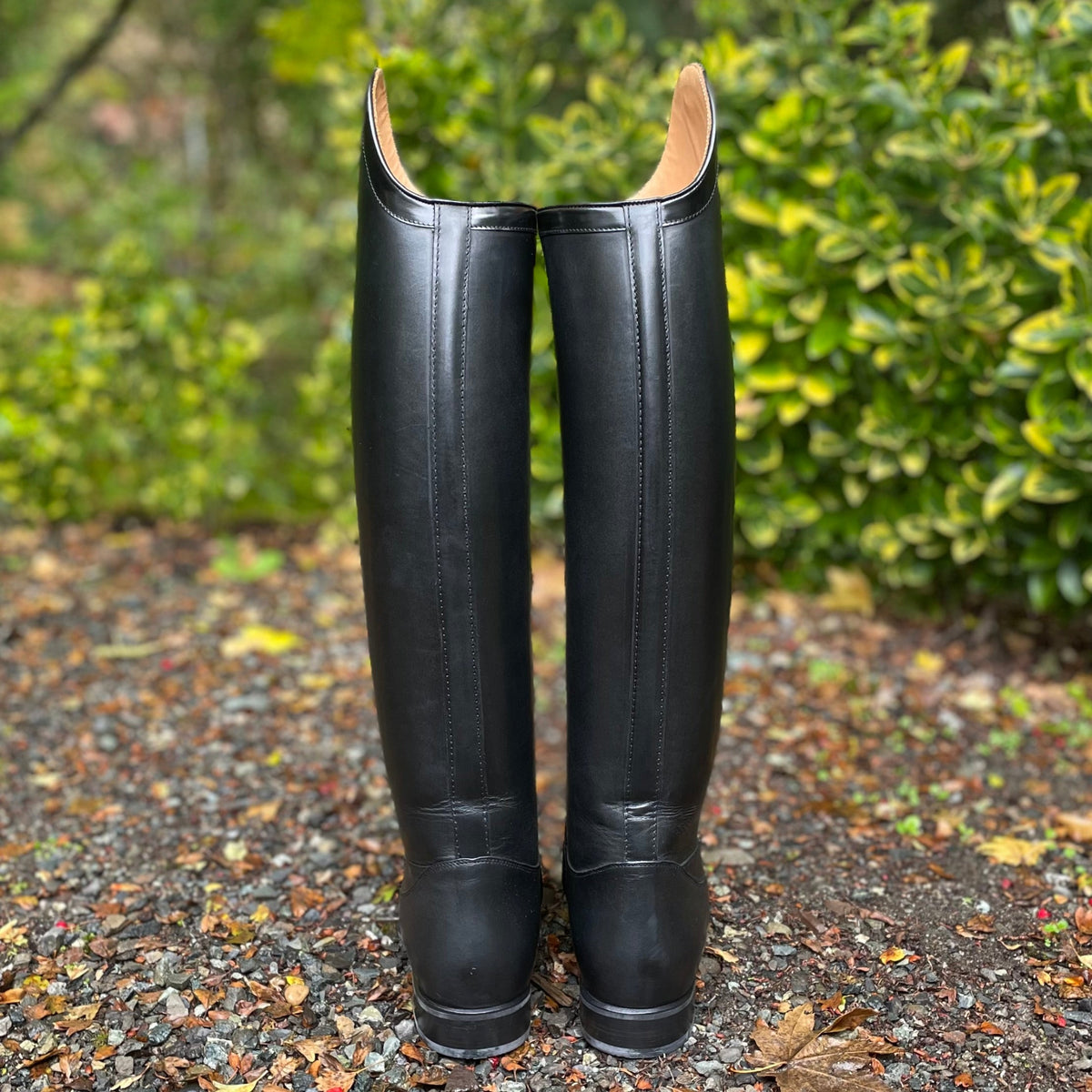 DeNiro Raffaello Dressage Boot WRAT Black with Brushed G9 Rondine - 37 MC/S, 38 MA/XS, 38 MA/S