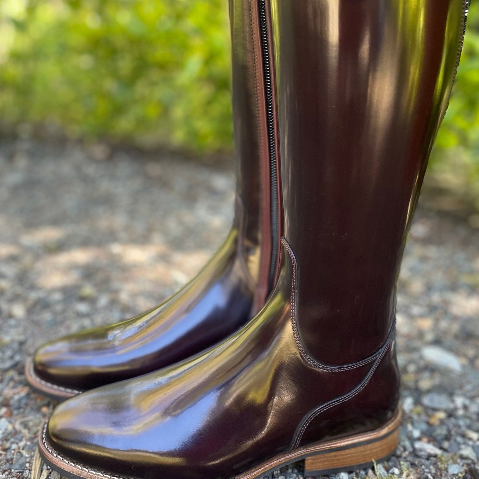 DeNiro Bellini Dressage Boot - Brushed Burgundy with Mica Dedalo Vino & Swarovski