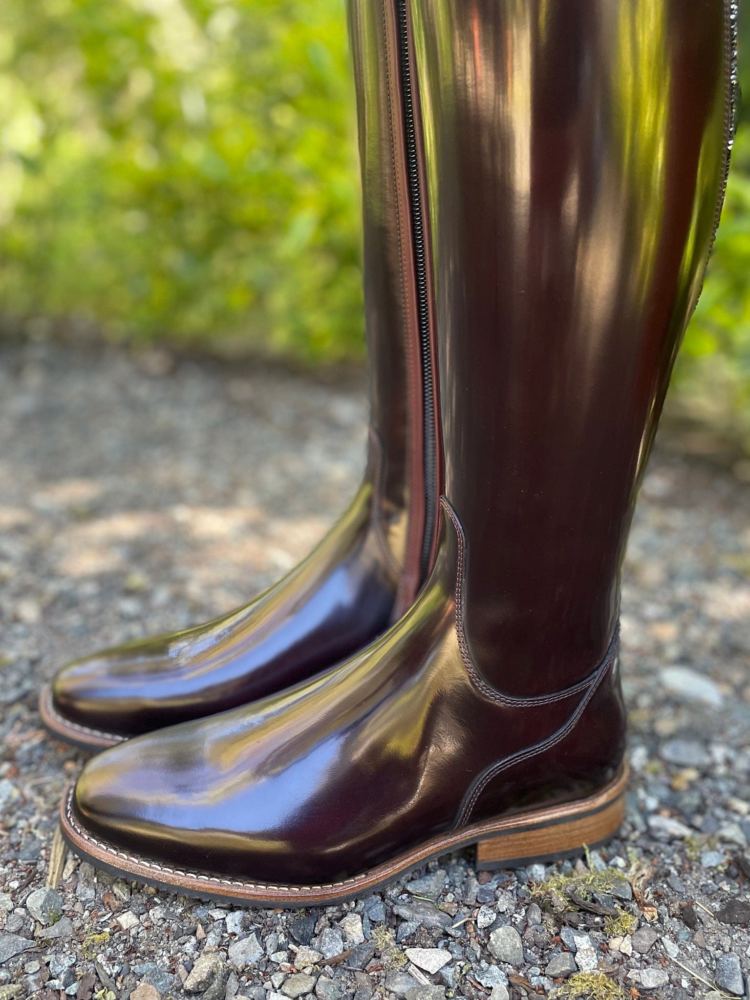 DeNiro Bellini Dressage Boot - Brushed Burgundy with Mica Dedalo Vino & Swarovski
