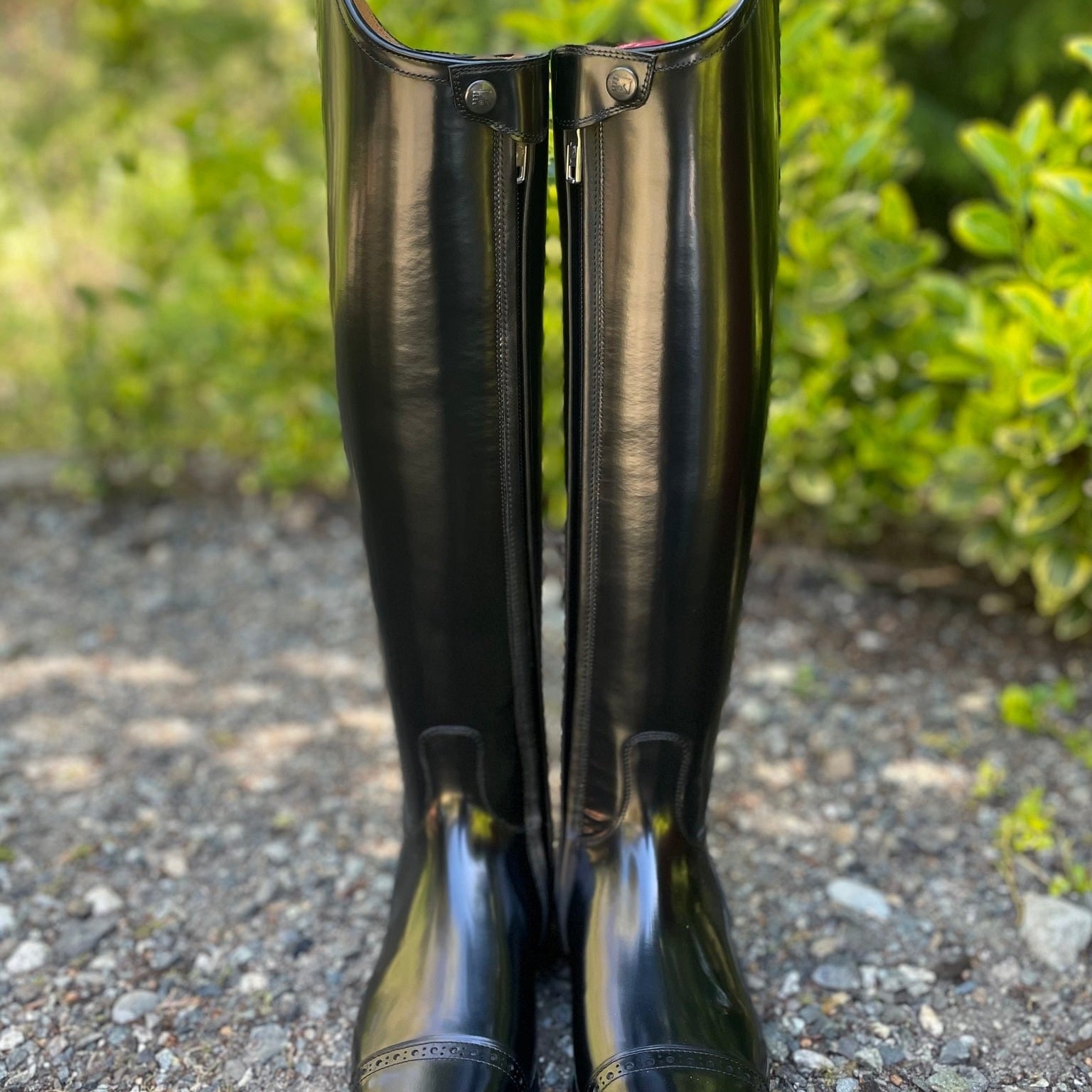 DeNiro Raffaello Dressage Boot - Brushed Black with Swarovski Collier