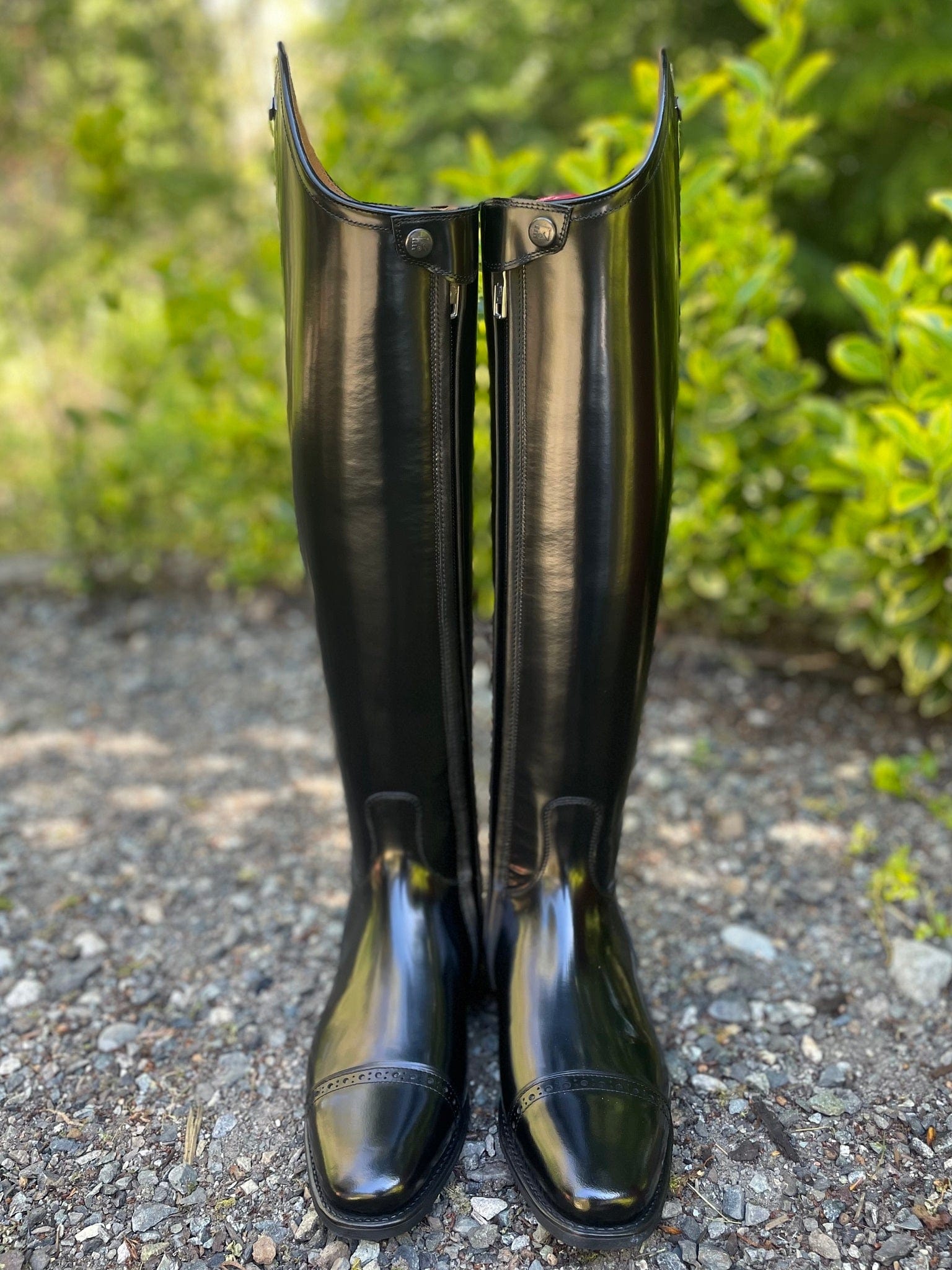 DeNiro Raffaello Dressage Boot - Brushed Black with Swarovski Collier