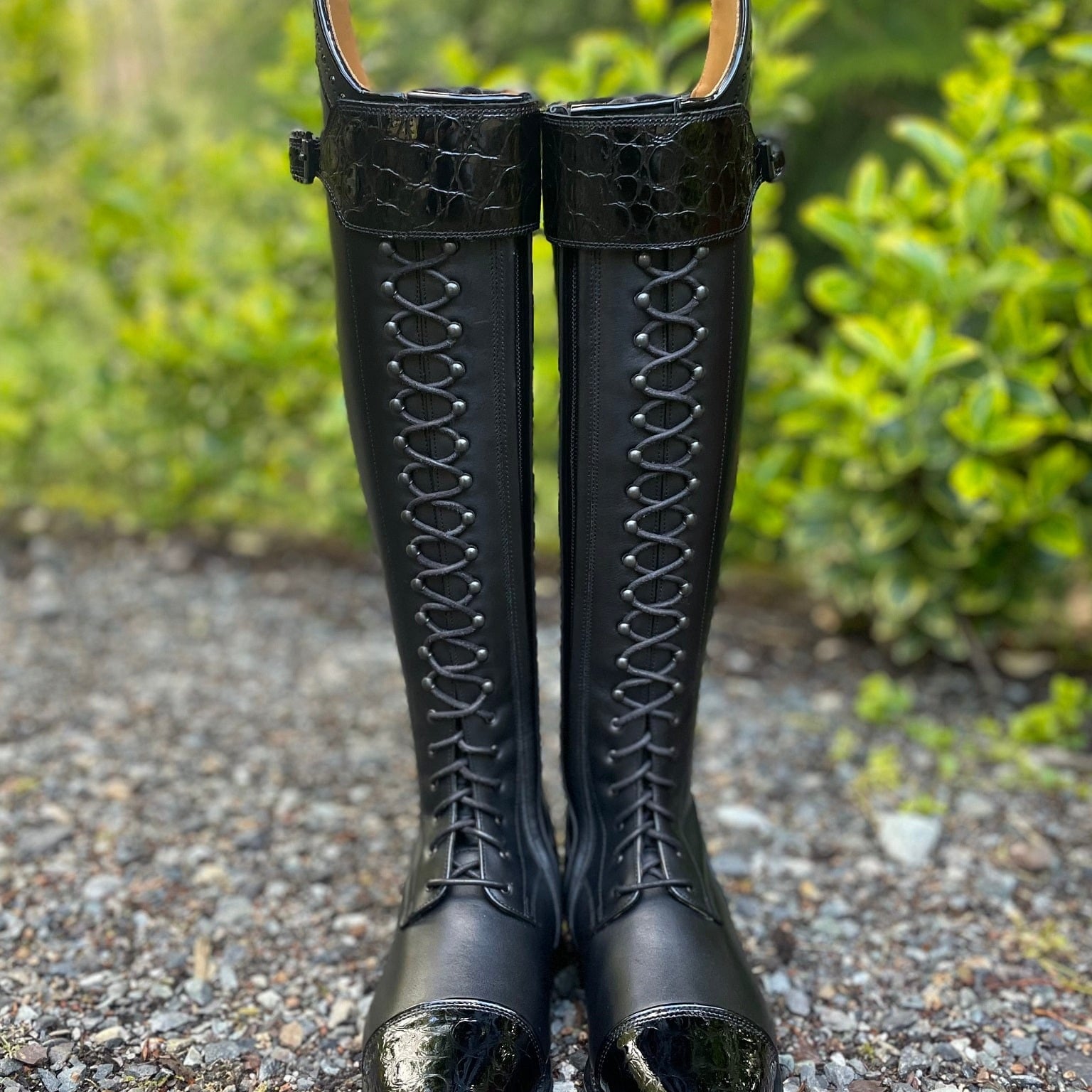 DeNiro Tintoretto Dressage Boot - WRAT Black with Tommaso Swarovski Rondine and Lucidi