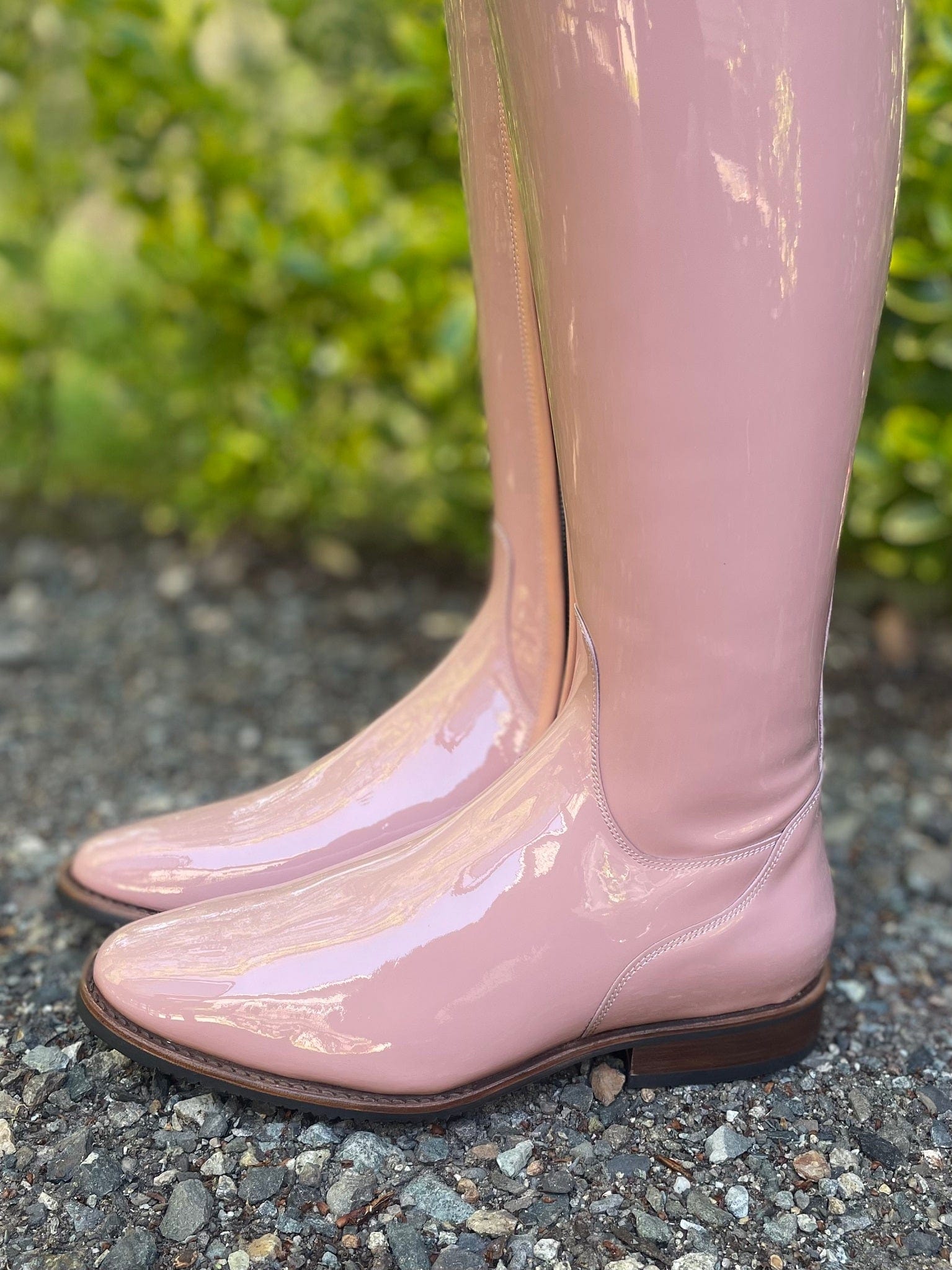DeNiro Bellini Dressage Boot - Patent Glicine with Rondine Iride Pink & Swarovski Collier