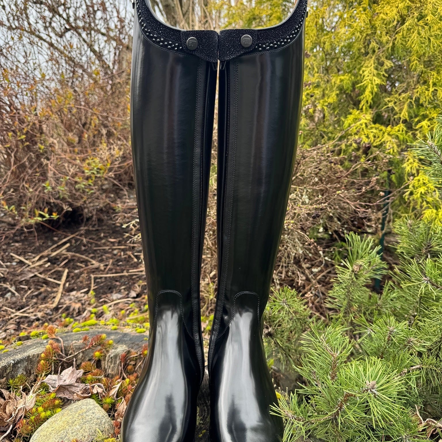 Custom DeNiro Bellini Dressage Boot - Brushed Black with Rondine Stardust & Swarovski