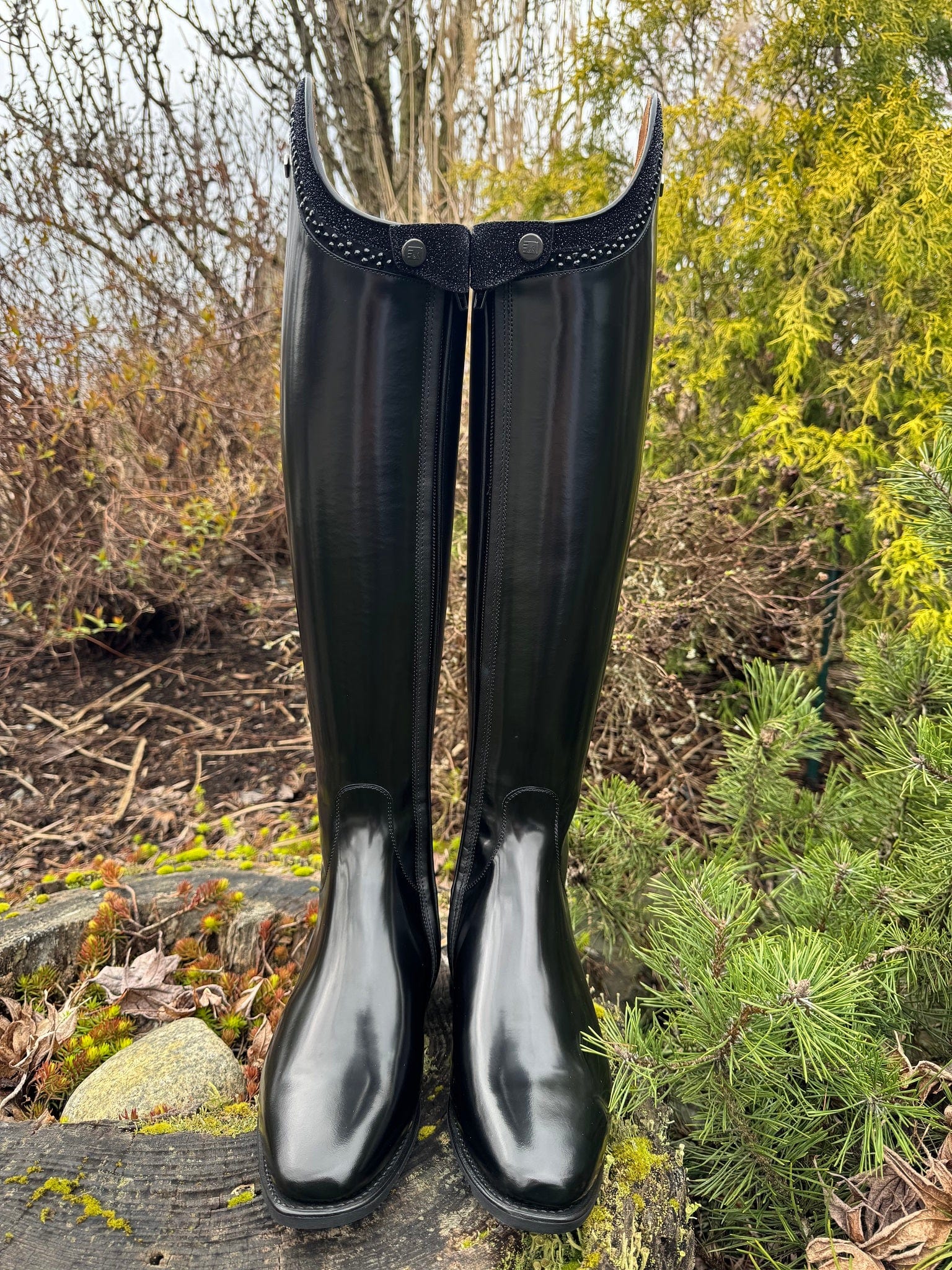 Custom DeNiro Bellini Dressage Boot - Brushed Black with Rondine Stardust & Swarovski