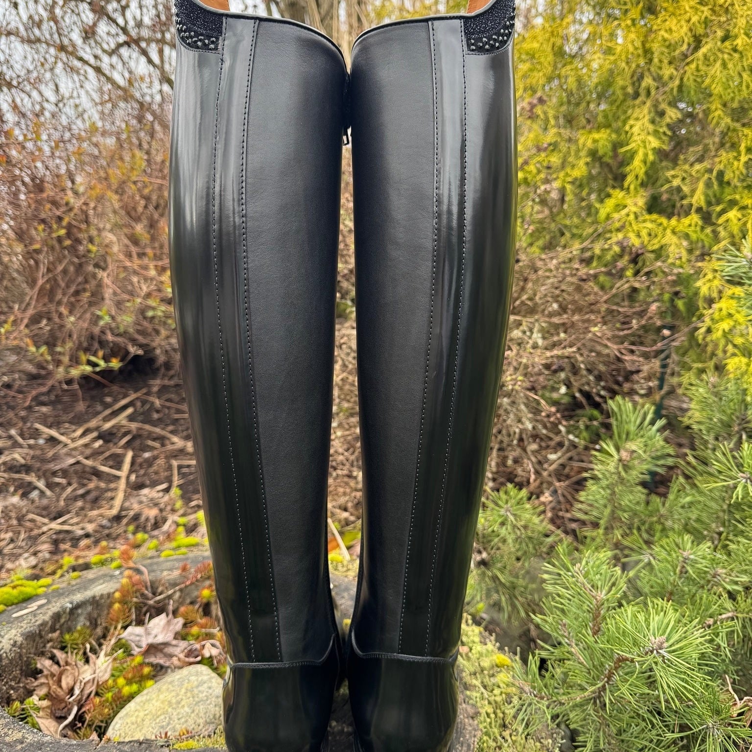 Custom DeNiro Bellini Dressage Boot - Brushed Black with Rondine Stardust & Swarovski