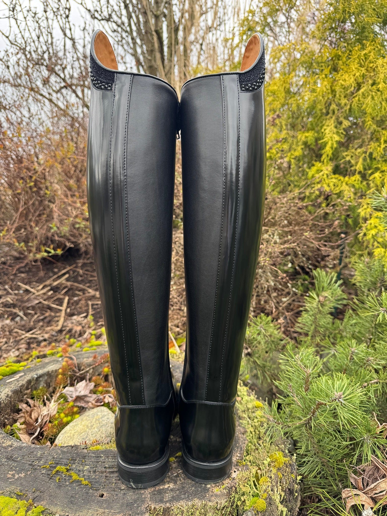 Custom DeNiro Bellini Dressage Boot - Brushed Black with Rondine Stardust & Swarovski