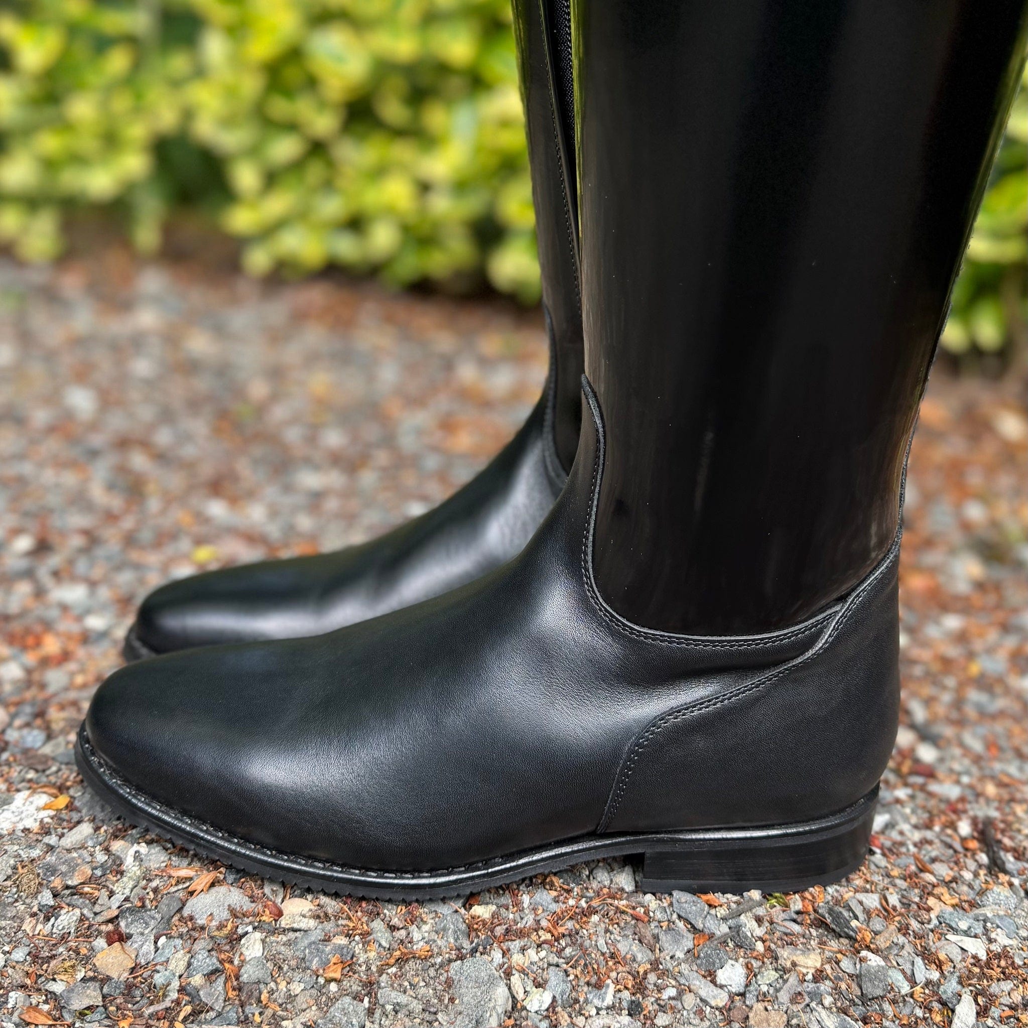 DeNiro Raffaello Dressage Boot - Brushed Black