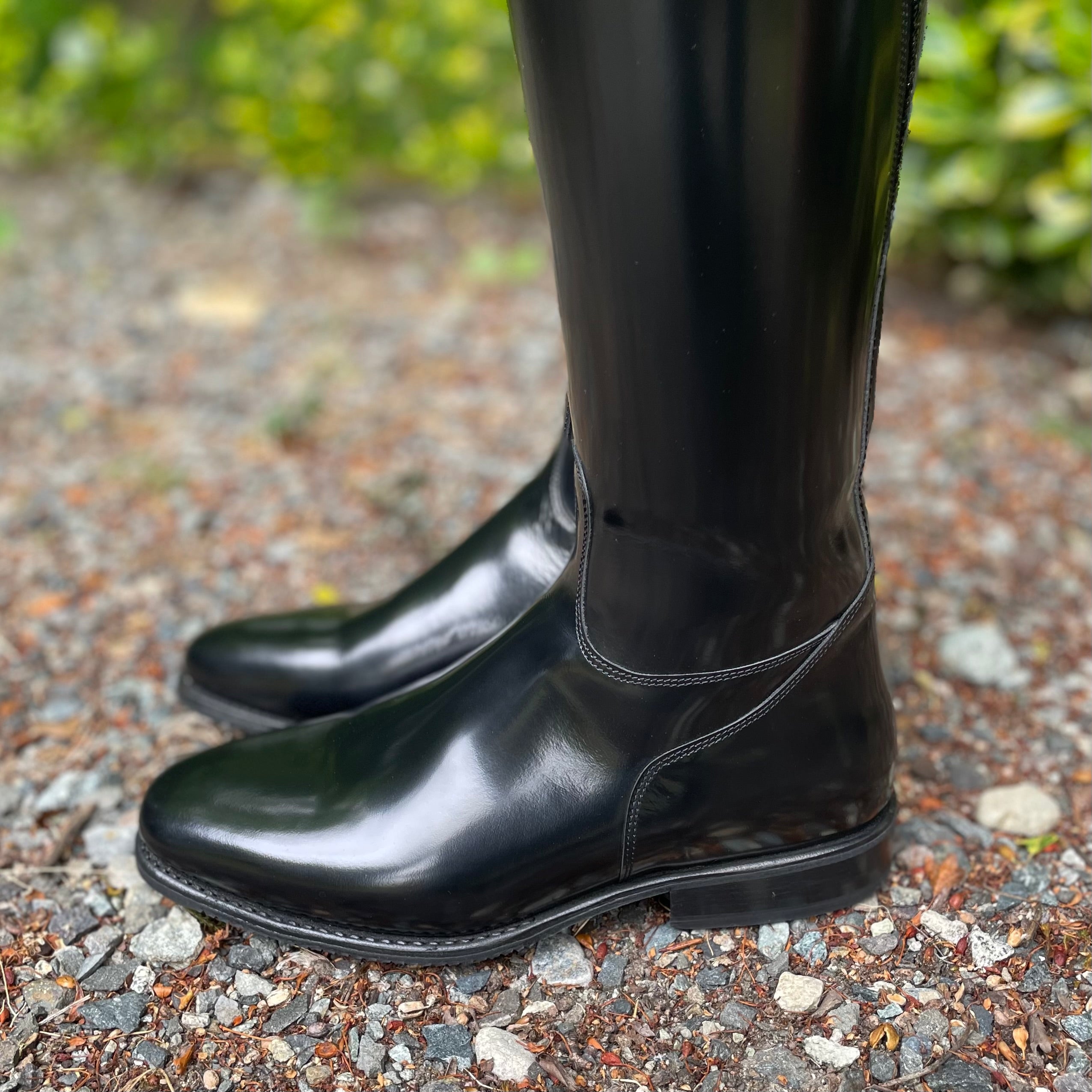 DeNiro Bellini Dressage Boot - Brushed Black with Mica Regal and Swarovski Jet Fineline
