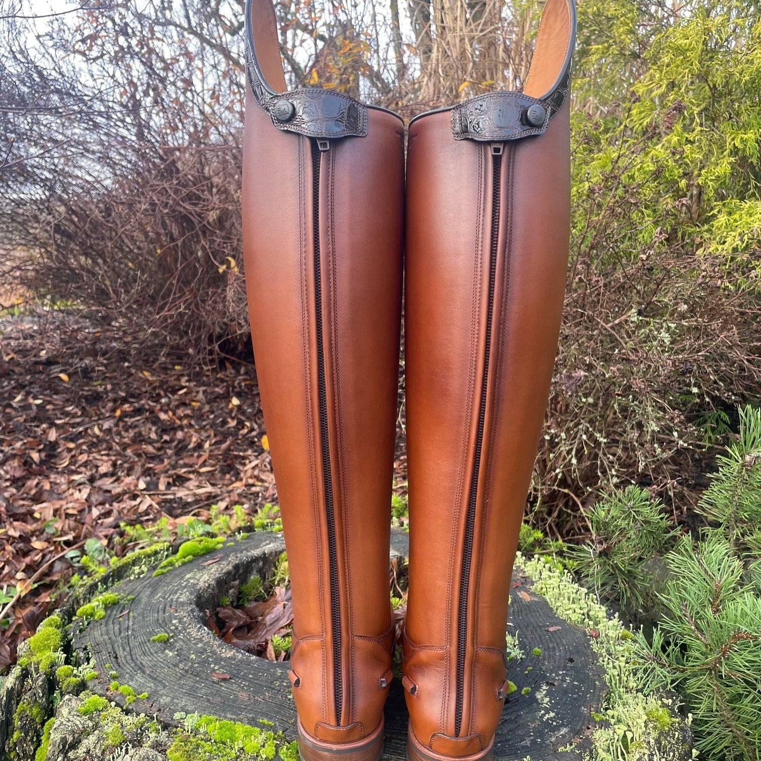 Custom DeNiro Volta Dressage Boot - Oxford Vintage with Lucidi Moka Rondine