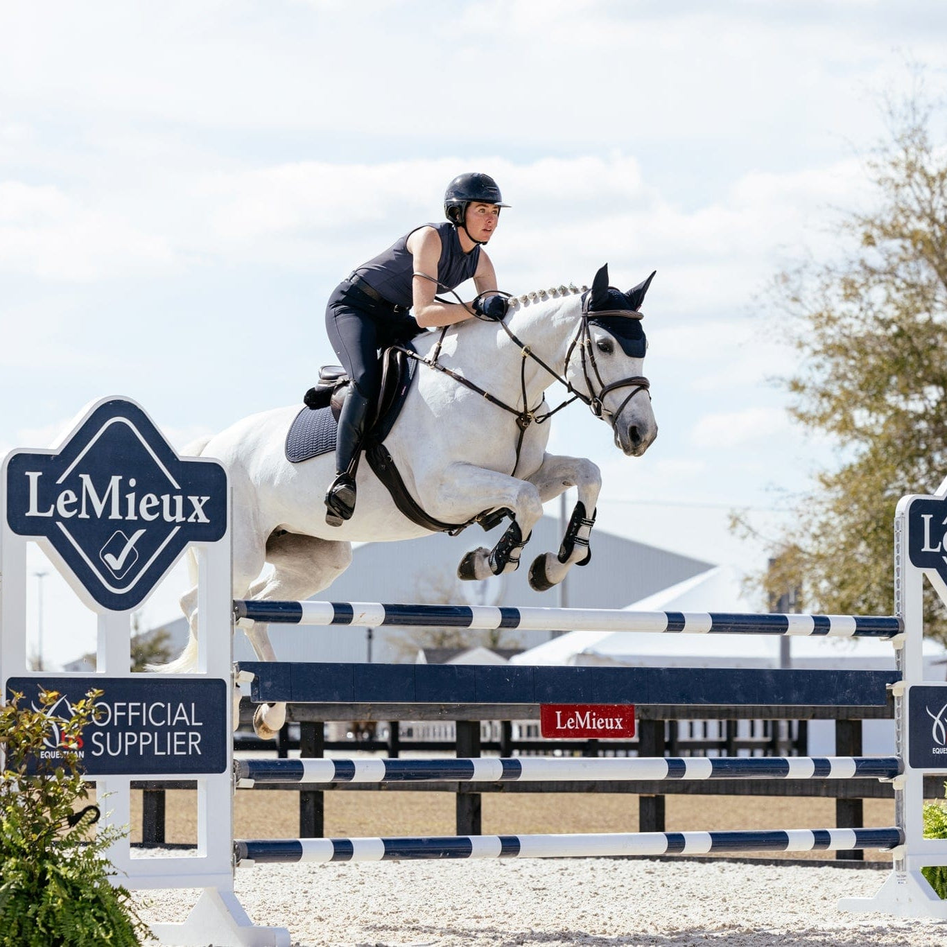 LeMieux Finesse Jump Pad - Navy