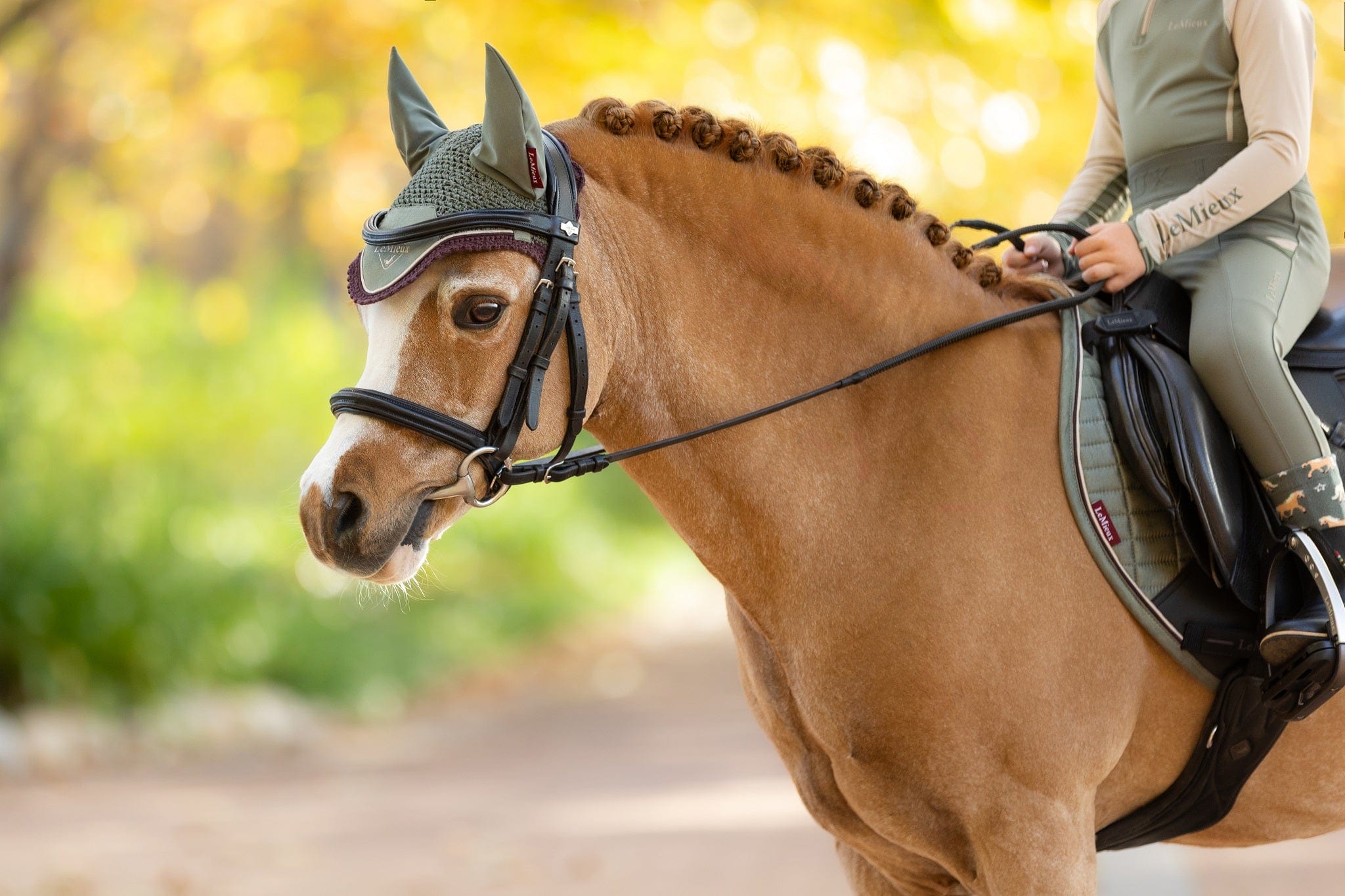 LeMieux Mini Classic Fly Hood